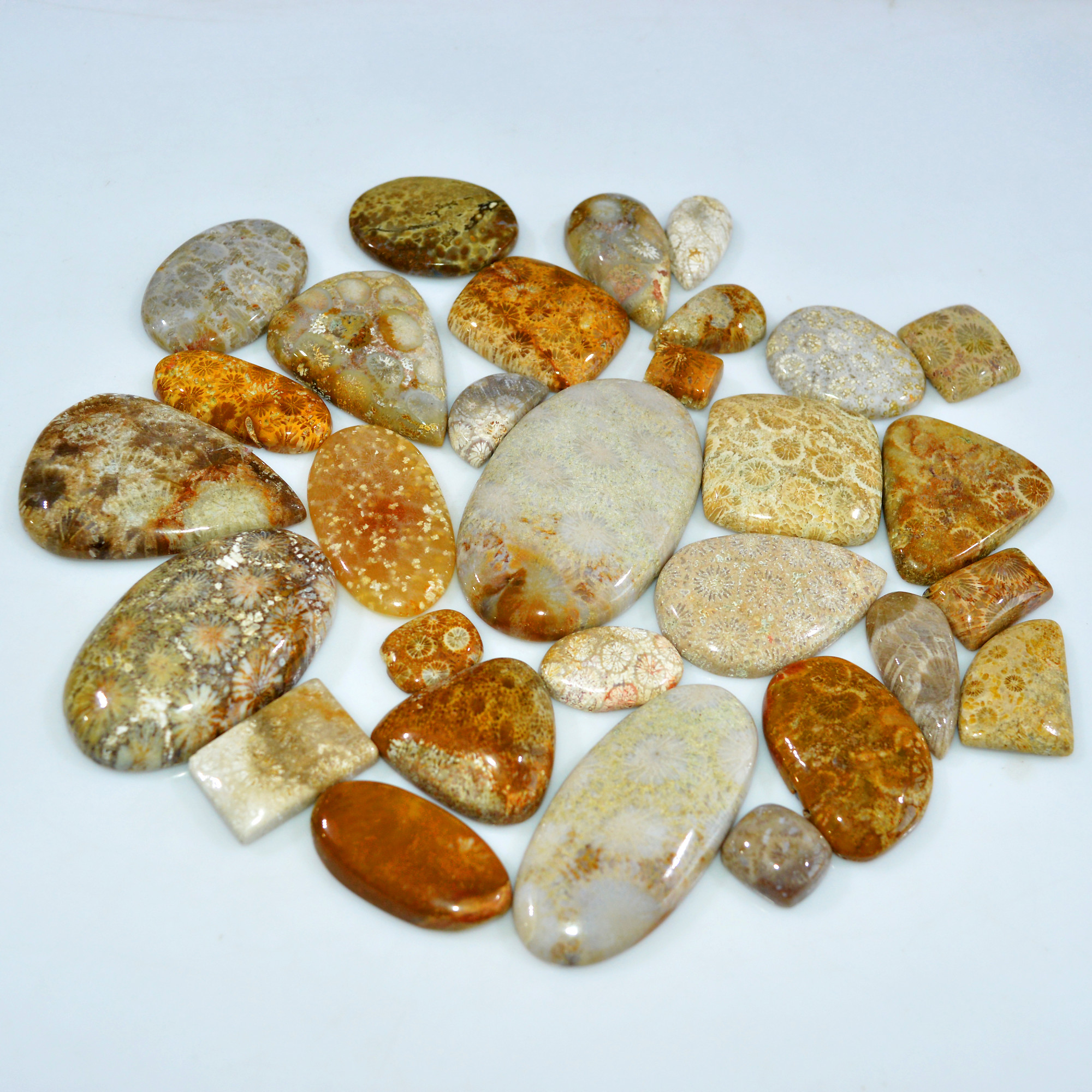 29Pcs 965Ct Natural Fossil Coral Loose Cabochon Gemstone Lot Mixed Shapes For Pendants Handmade Jewelry Supplies 52x30 20x10mm 3146