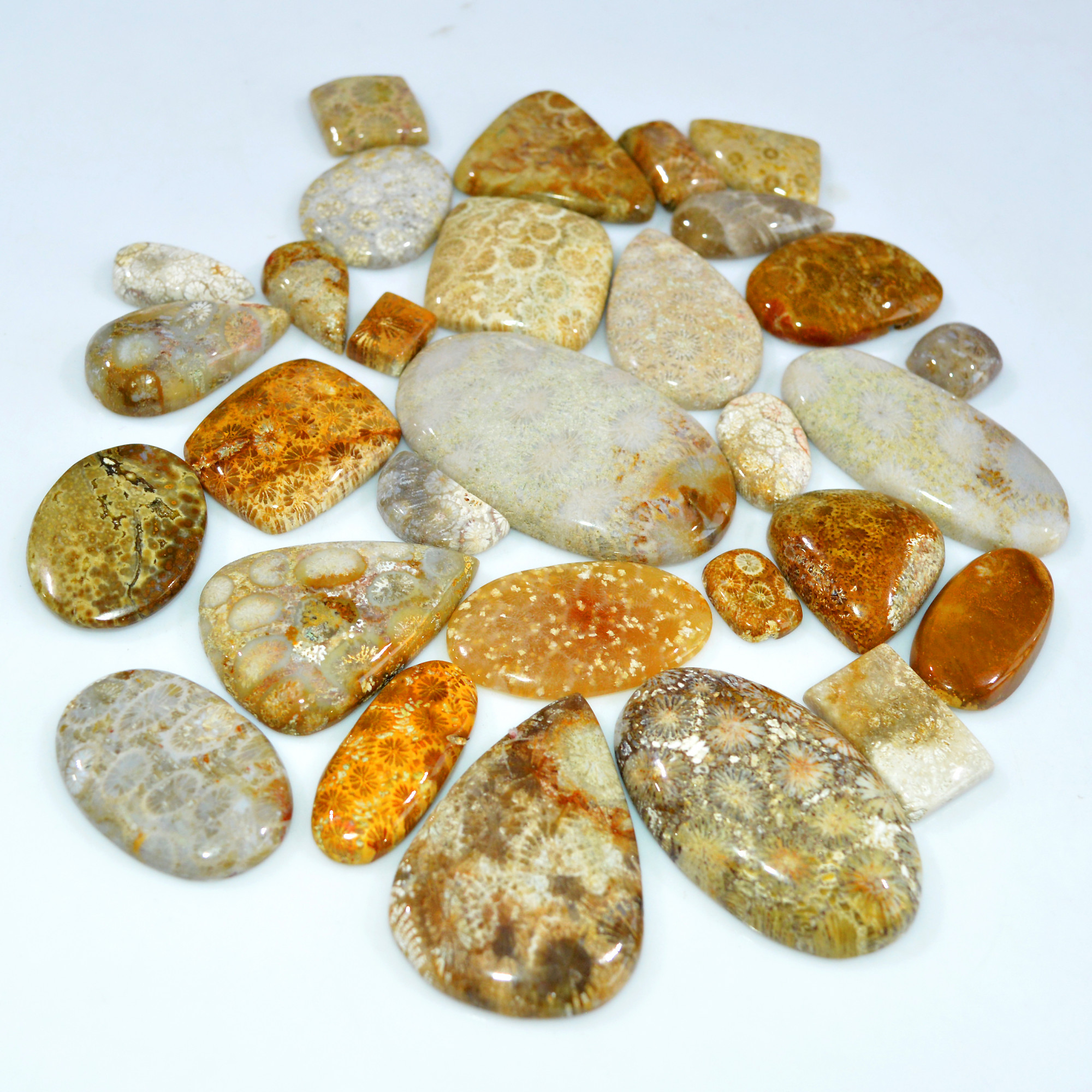 29Pcs 965Ct Natural Fossil Coral Loose Cabochon Gemstone Lot Mixed Shapes For Pendants Handmade Jewelry Supplies 52x30 20x10mm 3146