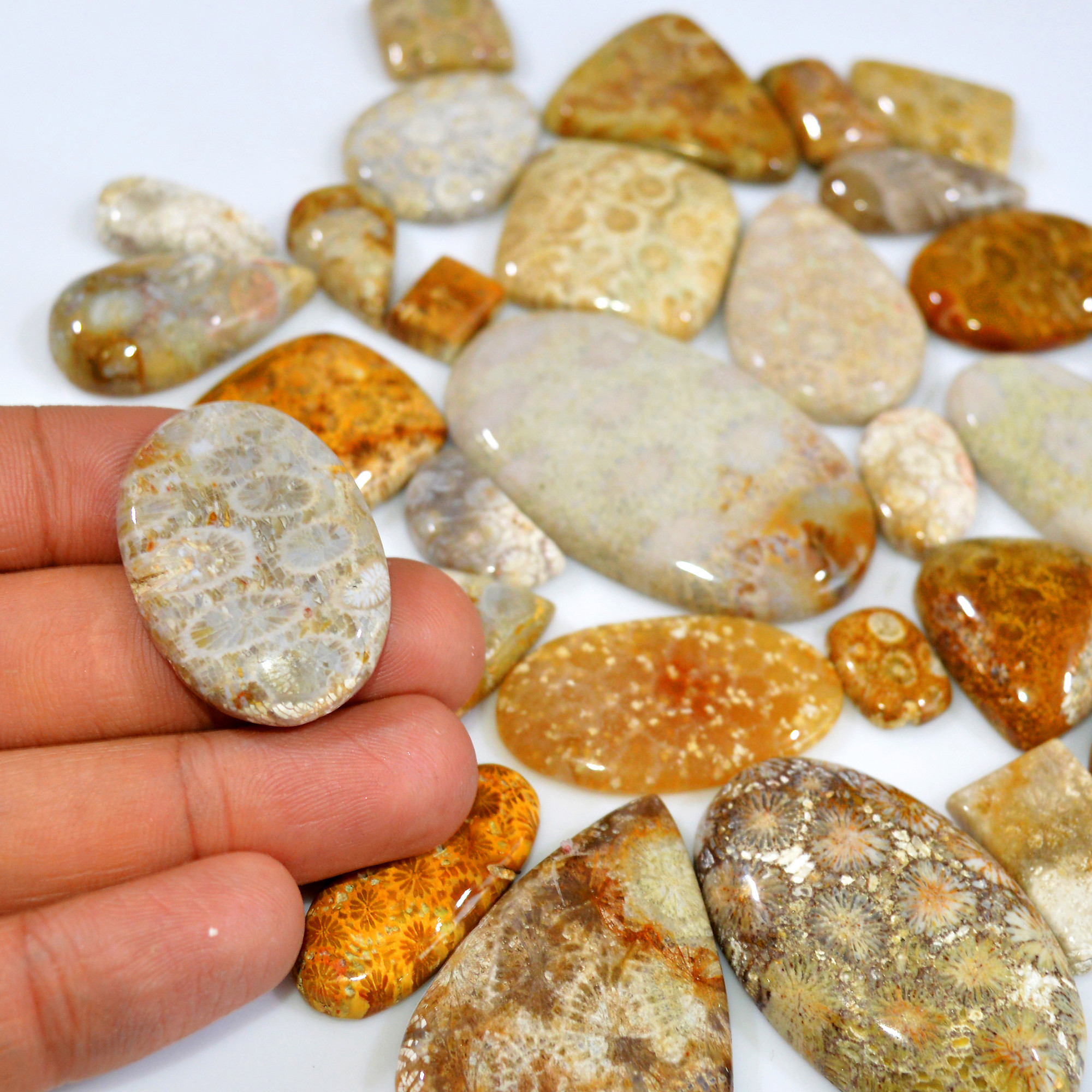 29Pcs 965Ct Natural Fossil Coral Loose Cabochon Gemstone Lot Mixed Shapes For Pendants Handmade Jewelry Supplies 52x30 20x10mm 3146