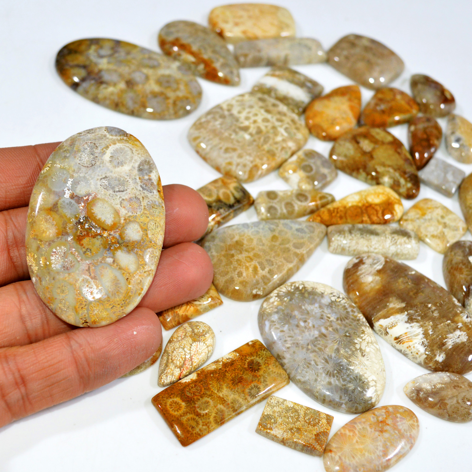 34Pcs 1098Ct Natural Fossil Coral Loose Cabochon Gemstone Lot Mixed Shapes For Pendants Handmade Jewelry Supplies 50x32 10x9mm 3147