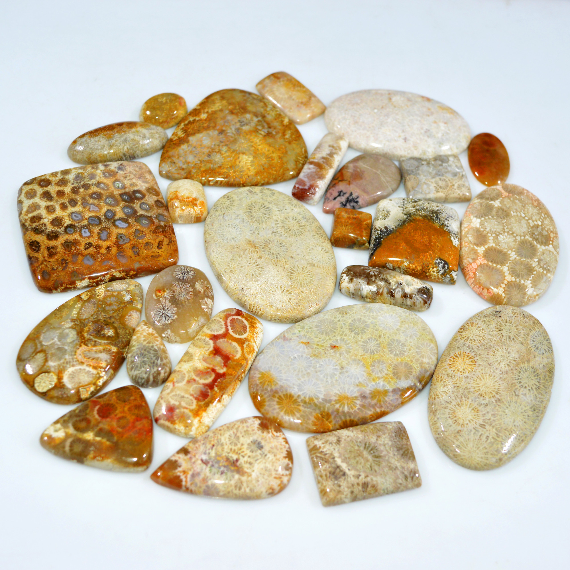 26Pcs 1098Ct Natural Fossil Coral Loose Cabochon Gemstone Lot Mixed Shapes For Pendants Handmade Jewelry Supplies 55x45 11x10mm 3148