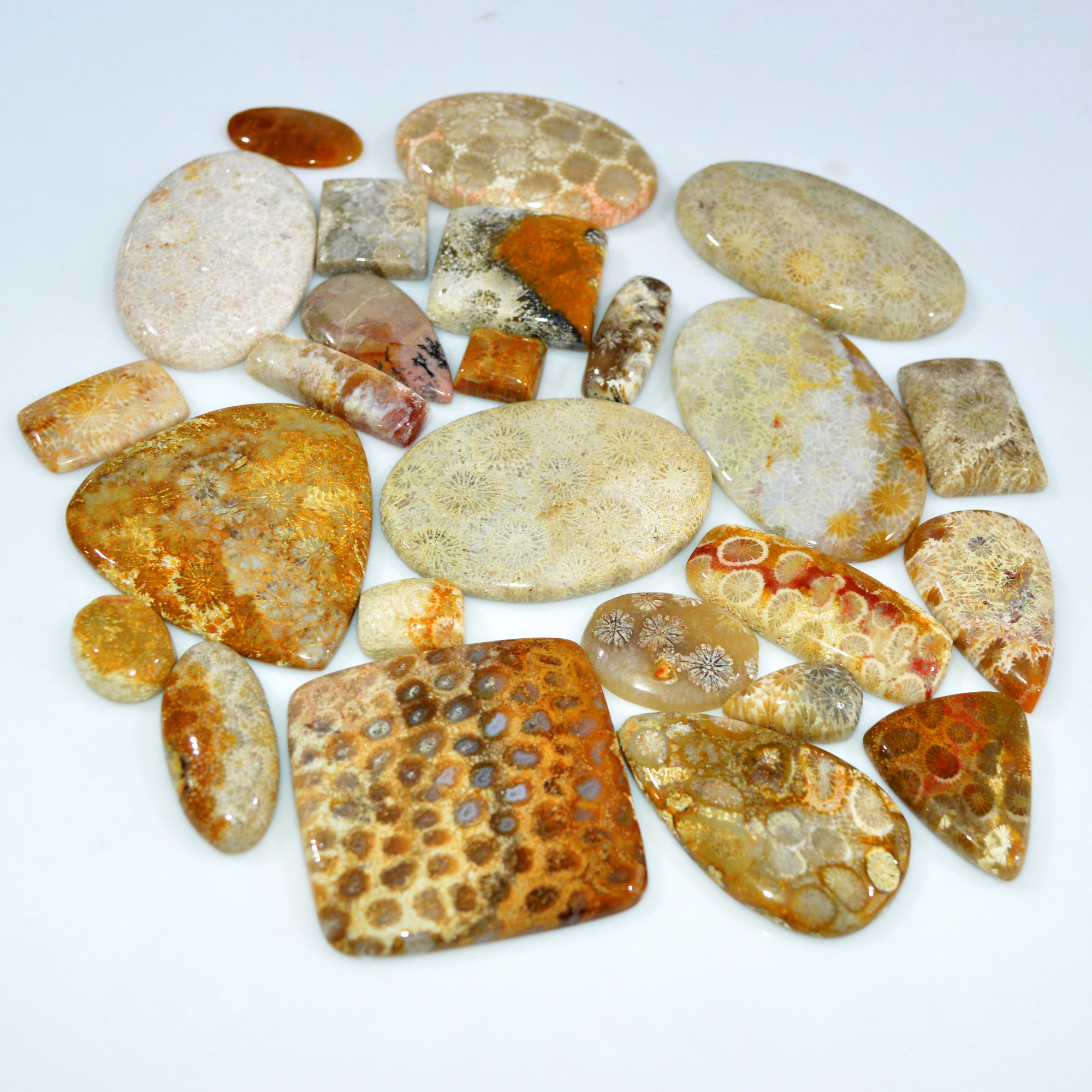 26Pcs 1098Ct Natural Fossil Coral Loose Cabochon Gemstone Lot Mixed Shapes For Pendants Handmade Jewelry Supplies 55x45 11x10mm 3148