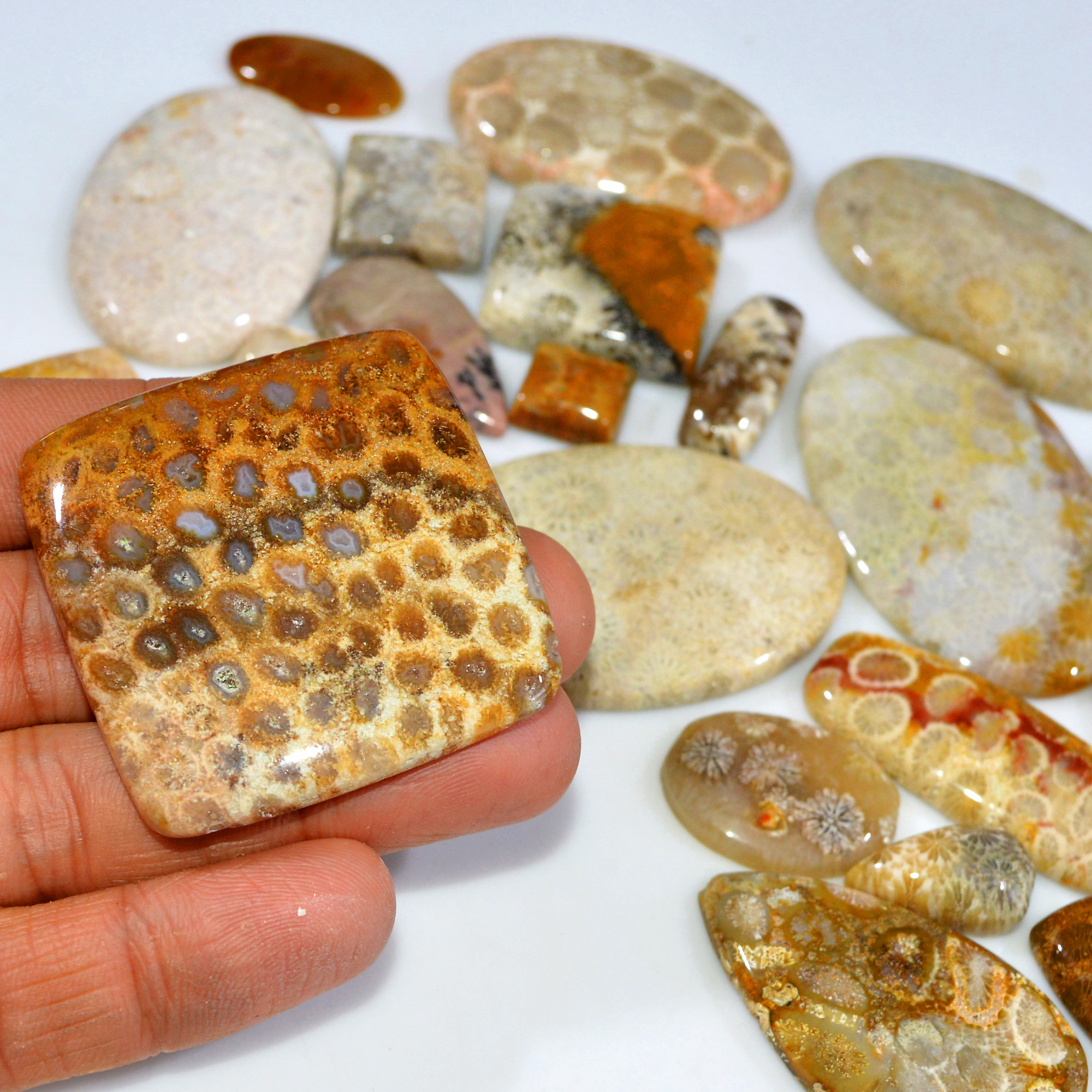 26Pcs 1098Ct Natural Fossil Coral Loose Cabochon Gemstone Lot Mixed Shapes For Pendants Handmade Jewelry Supplies 55x45 11x10mm 3148
