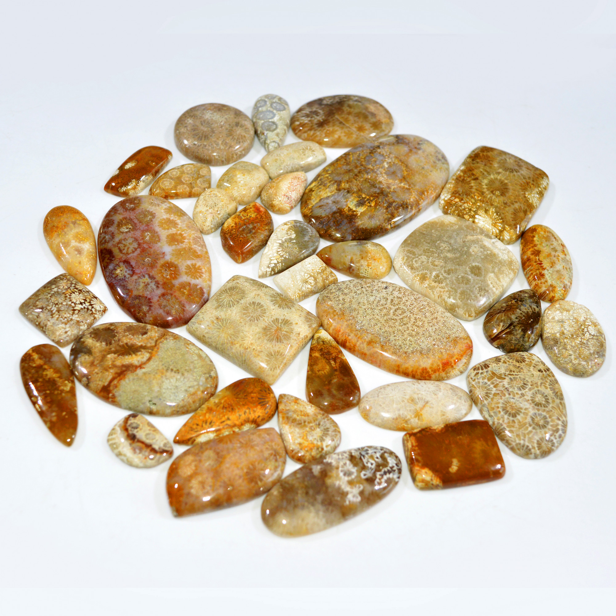 35Pcs 1171Ct Natural Fossil Coral Loose Cabochon Gemstone Lot Mixed Shapes For Pendants Handmade Jewelry Supplies 61x32 15x11mm 3149