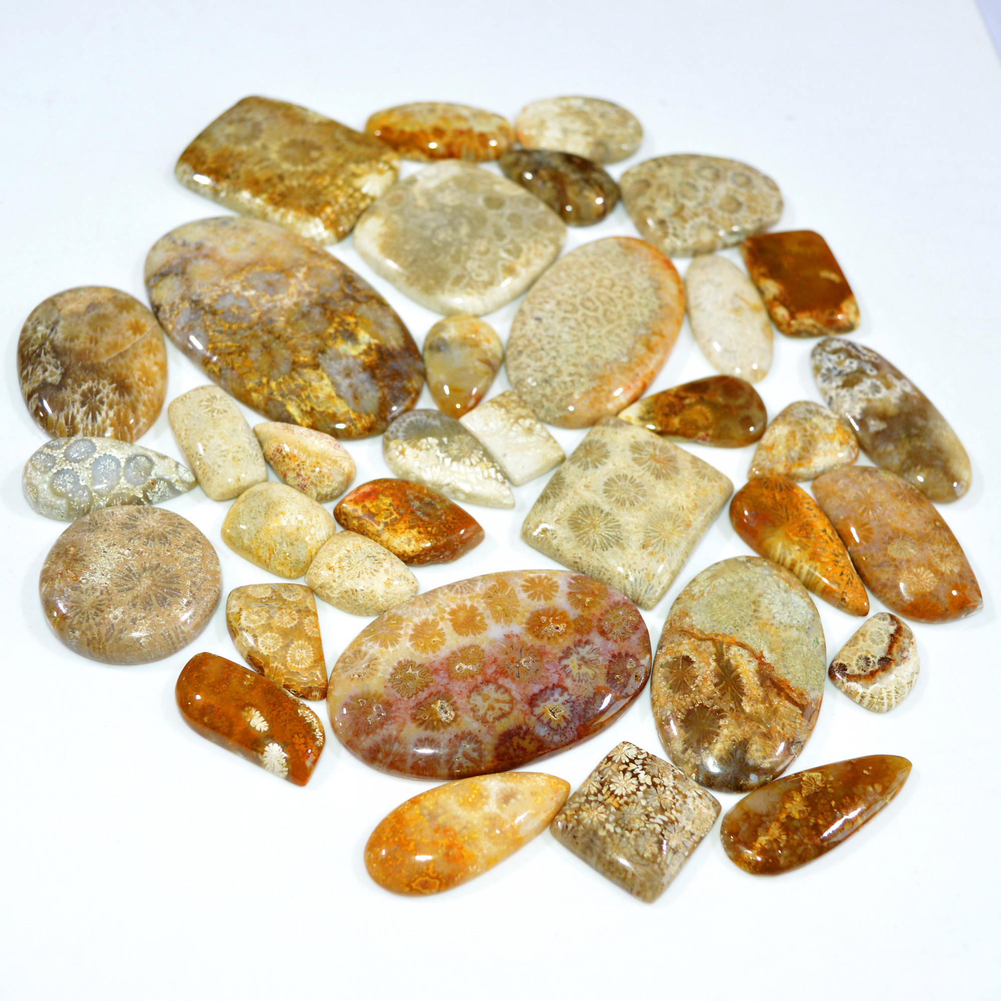 35Pcs 1171Ct Natural Fossil Coral Loose Cabochon Gemstone Lot Mixed Shapes For Pendants Handmade Jewelry Supplies 61x32 15x11mm 3149