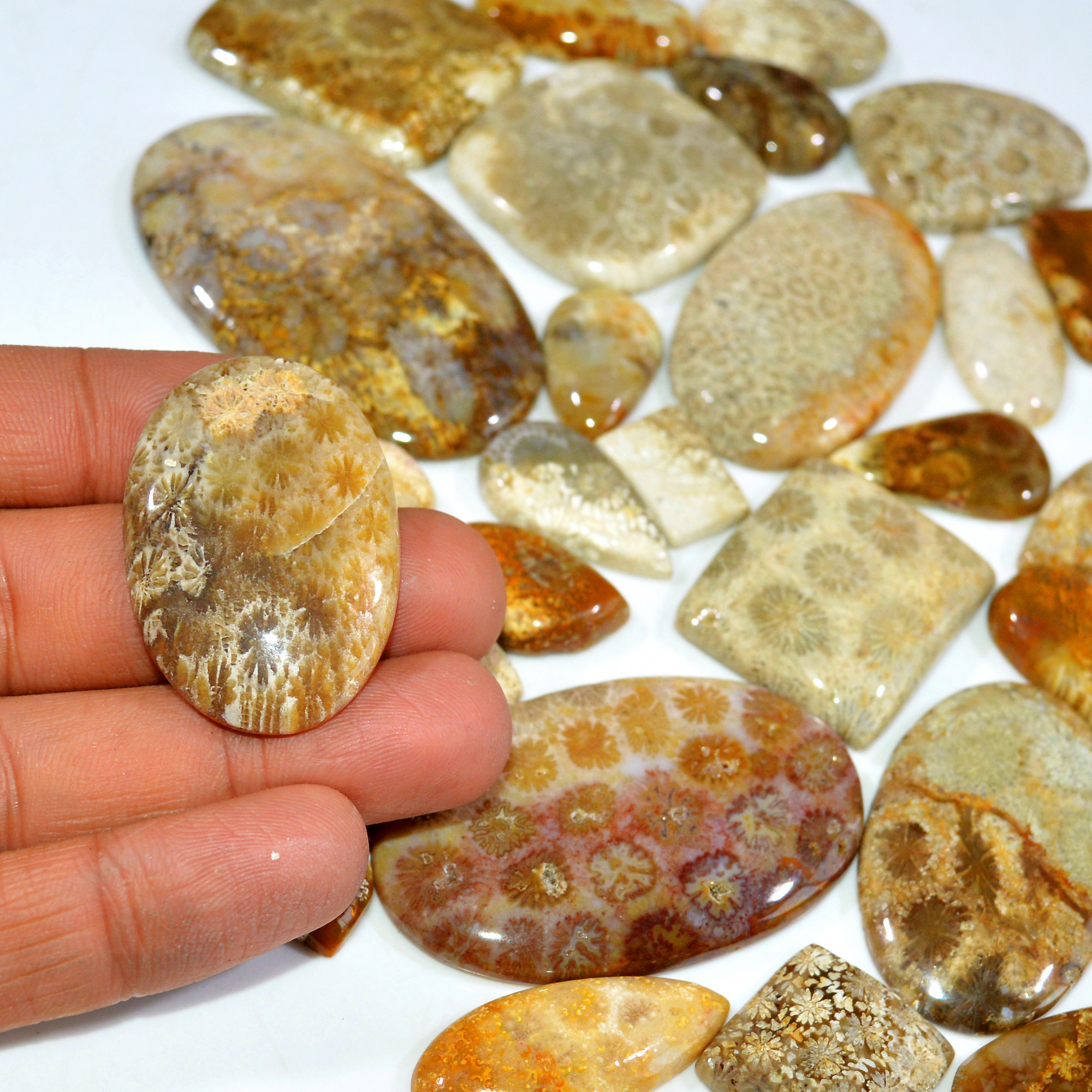 35Pcs 1171Ct Natural Fossil Coral Loose Cabochon Gemstone Lot Mixed Shapes For Pendants Handmade Jewelry Supplies 61x32 15x11mm 3149