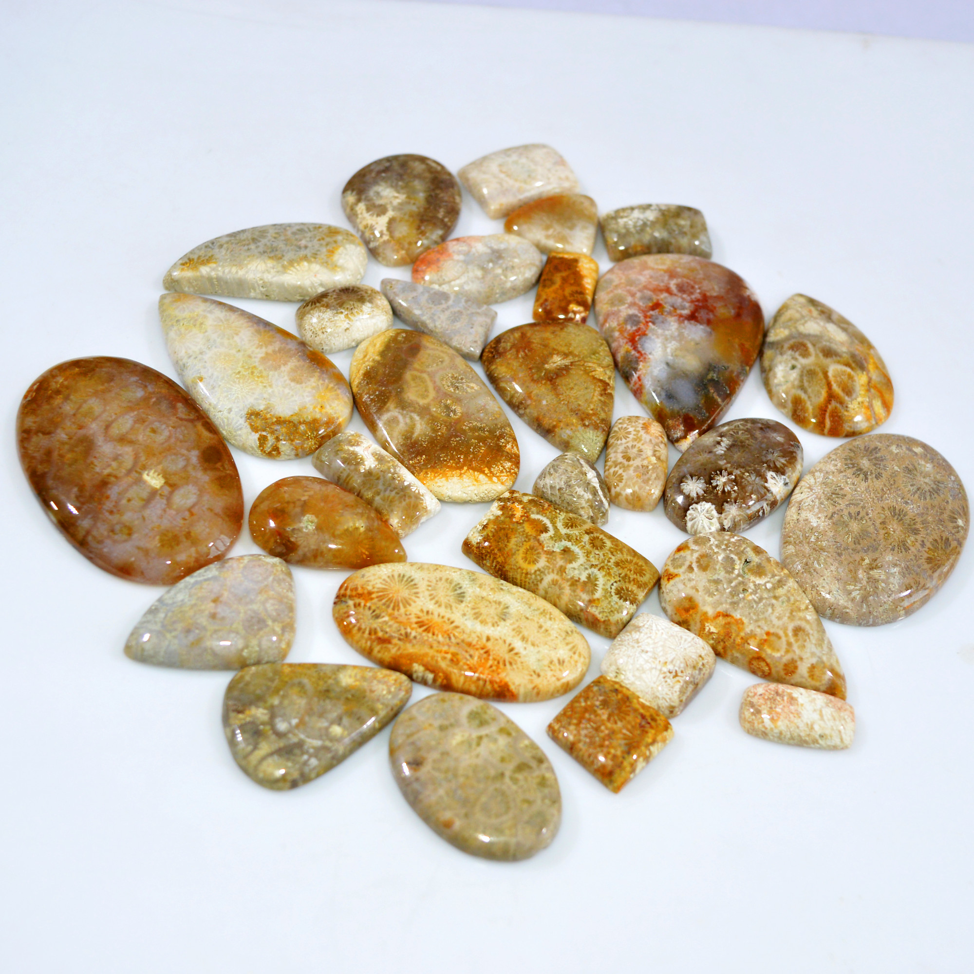 30Pcs 956Ct Natural Fossil Coral Loose Cabochon Gemstone Lot Mixed Shapes For Pendants Handmade Jewelry Supplies 55x30 14x11mm 3150