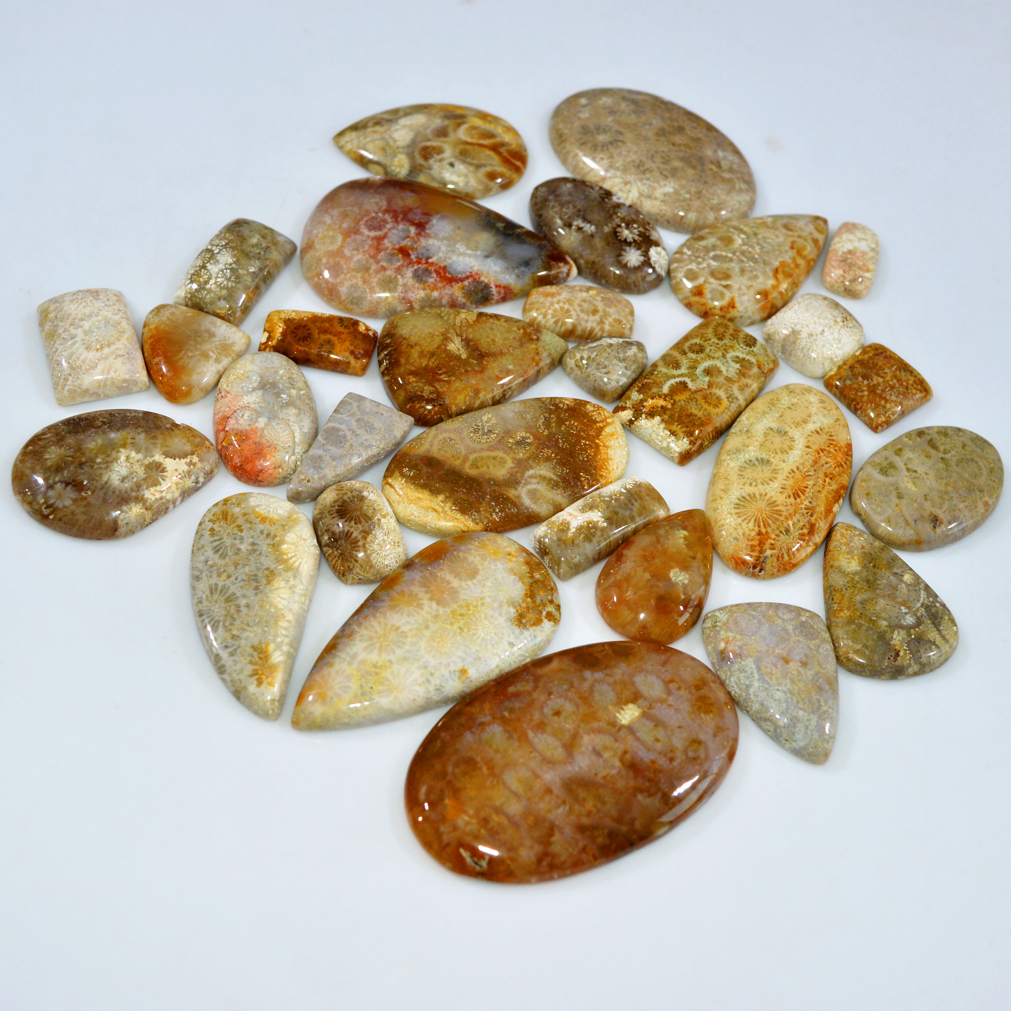 30Pcs 956Ct Natural Fossil Coral Loose Cabochon Gemstone Lot Mixed Shapes For Pendants Handmade Jewelry Supplies 55x30 14x11mm 3150