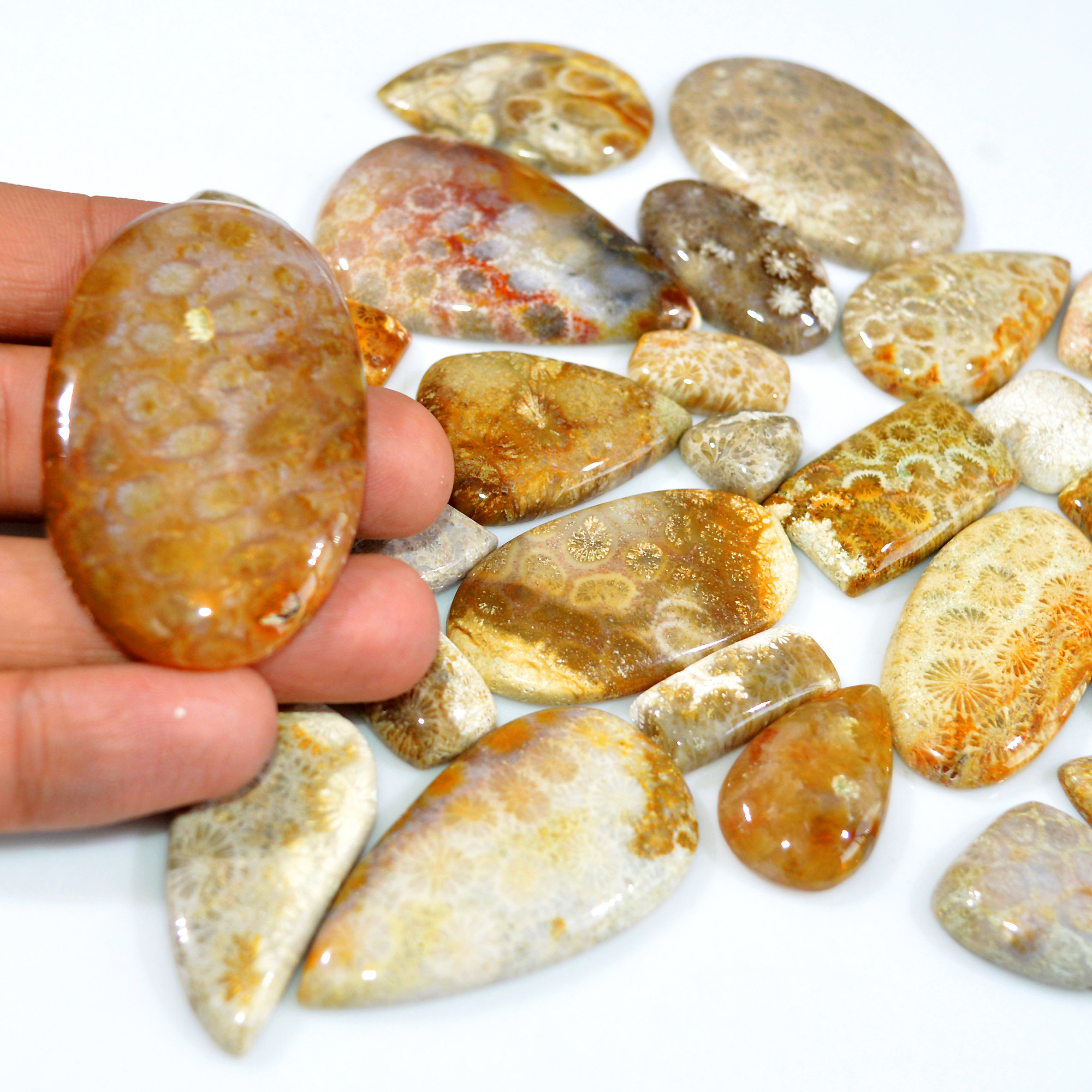 30Pcs 956Ct Natural Fossil Coral Loose Cabochon Gemstone Lot Mixed Shapes For Pendants Handmade Jewelry Supplies 55x30 14x11mm 3150