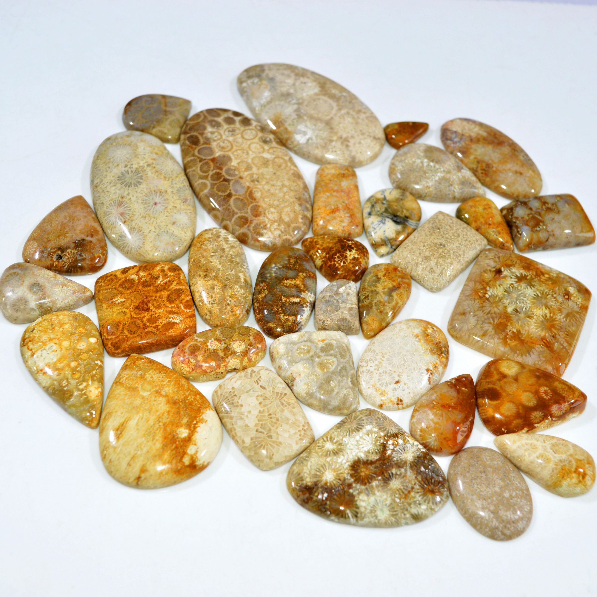 32Pcs 1192Ct Natural Fossil Coral Loose Cabochon Gemstone Lot Mixed Shapes For Pendants Handmade Jewelry Supplies 60x30 15x10mm 3151