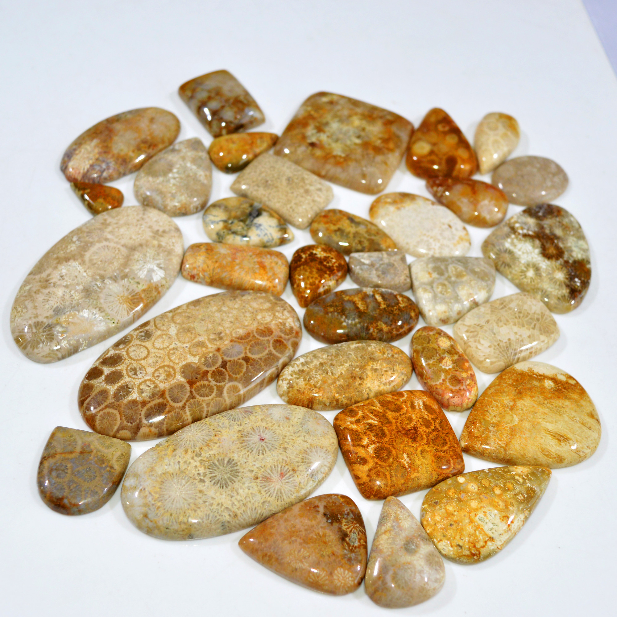 32Pcs 1192Ct Natural Fossil Coral Loose Cabochon Gemstone Lot Mixed Shapes For Pendants Handmade Jewelry Supplies 60x30 15x10mm 3151