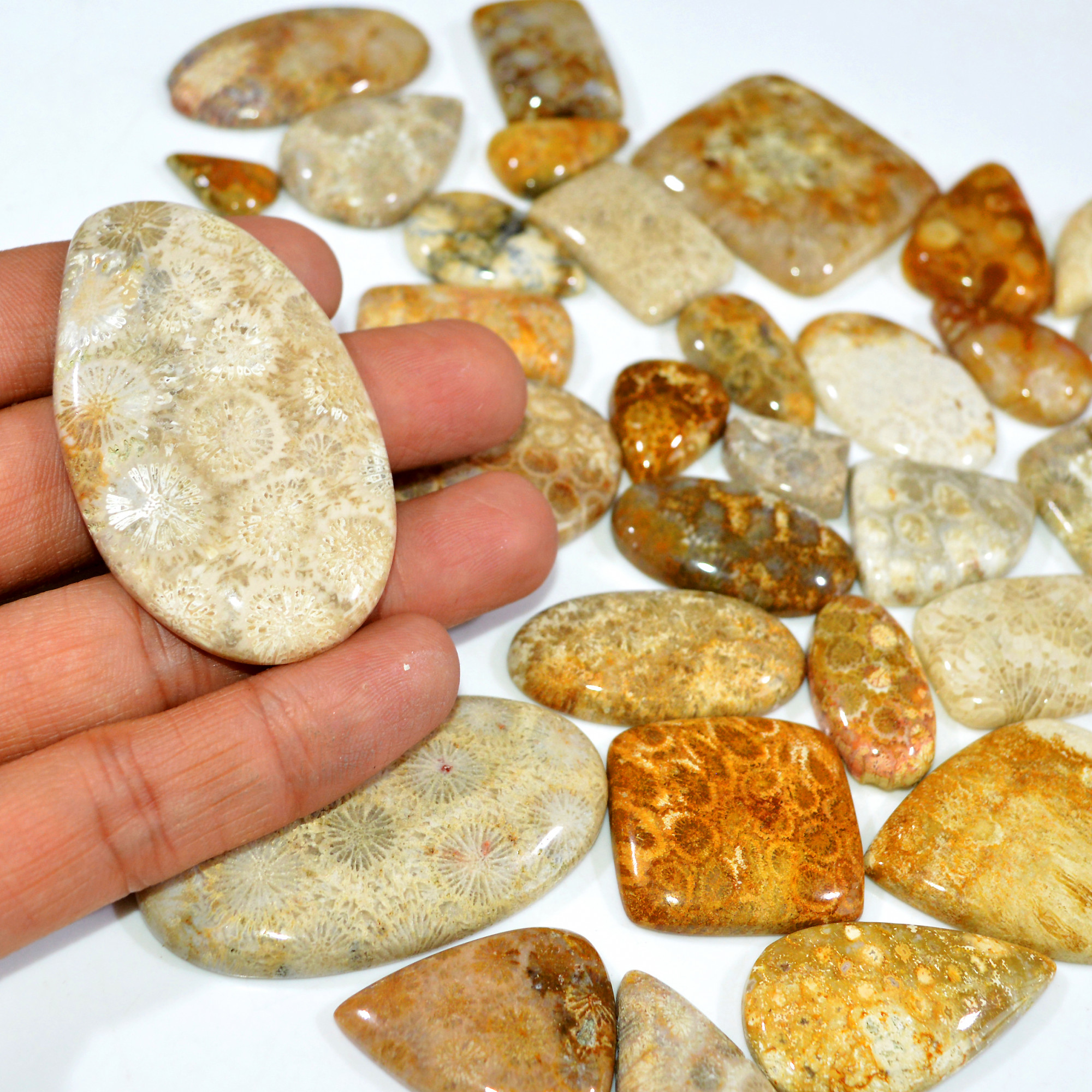 32Pcs 1192Ct Natural Fossil Coral Loose Cabochon Gemstone Lot Mixed Shapes For Pendants Handmade Jewelry Supplies 60x30 15x10mm 3151