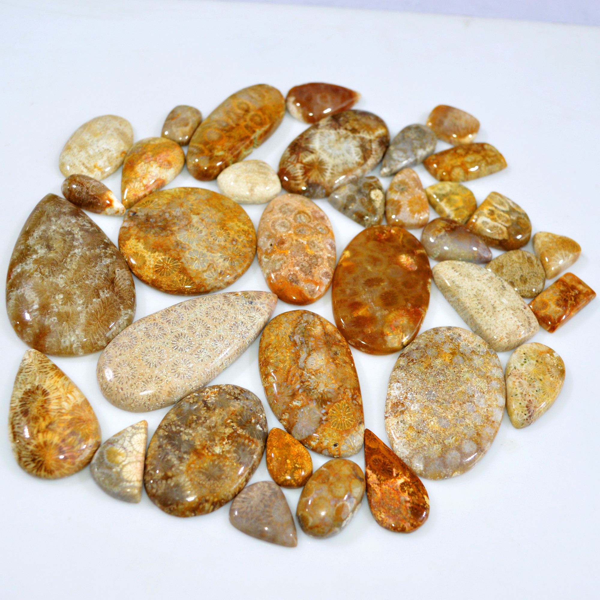35Pcs 1051Ct Natural Fossil Coral Loose Cabochon Gemstone Lot Mixed Shapes For Pendants Handmade Jewelry Supplies 57x34 15x10mm 3152