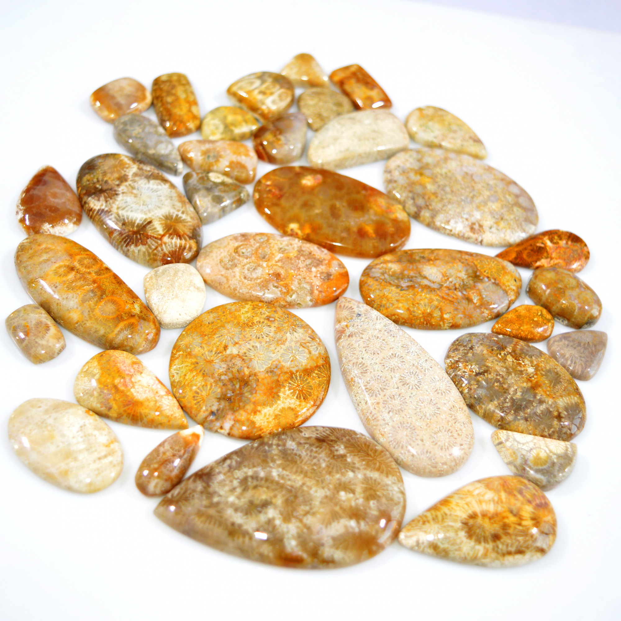 35Pcs 1051Ct Natural Fossil Coral Loose Cabochon Gemstone Lot Mixed Shapes For Pendants Handmade Jewelry Supplies 57x34 15x10mm 3152