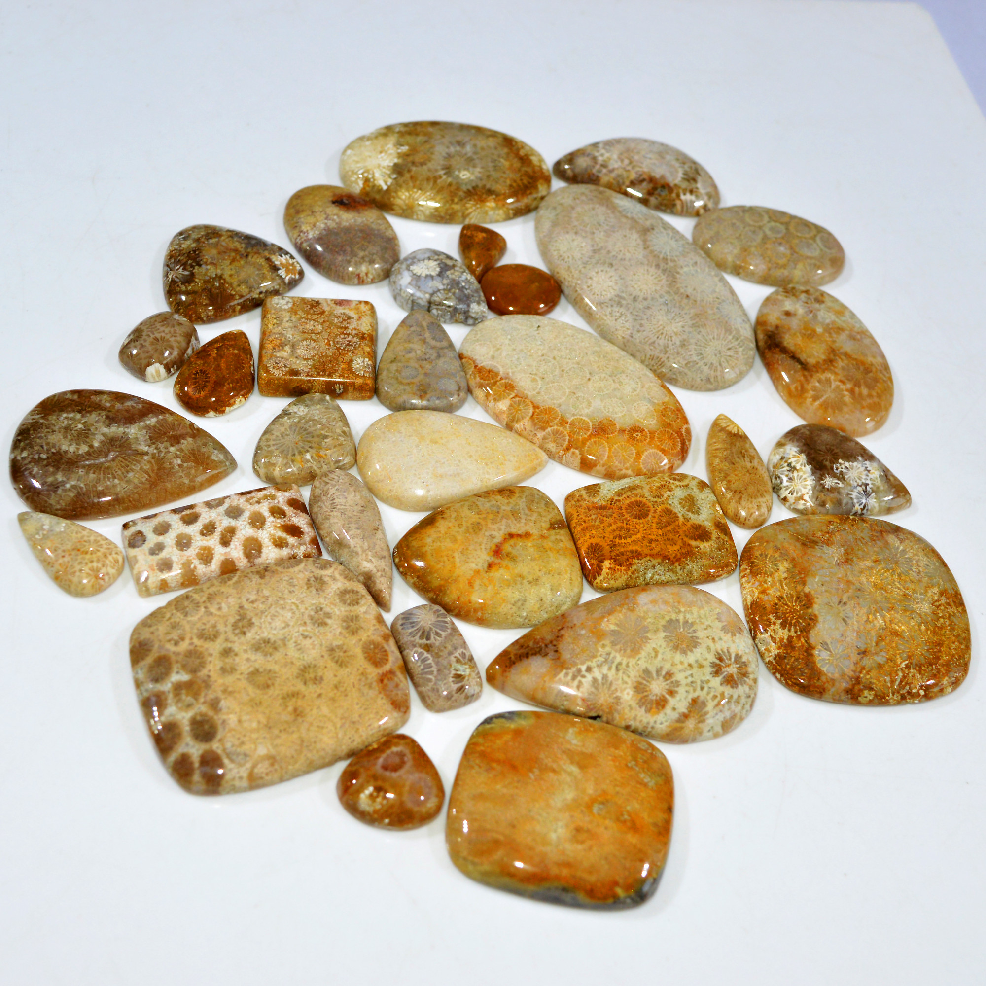 31Pcs 1171Ct Natural Fossil Coral Loose Cabochon Gemstone Lot Mixed Shapes For Pendants Handmade Jewelry Supplies 60x25 13x14mm 3153