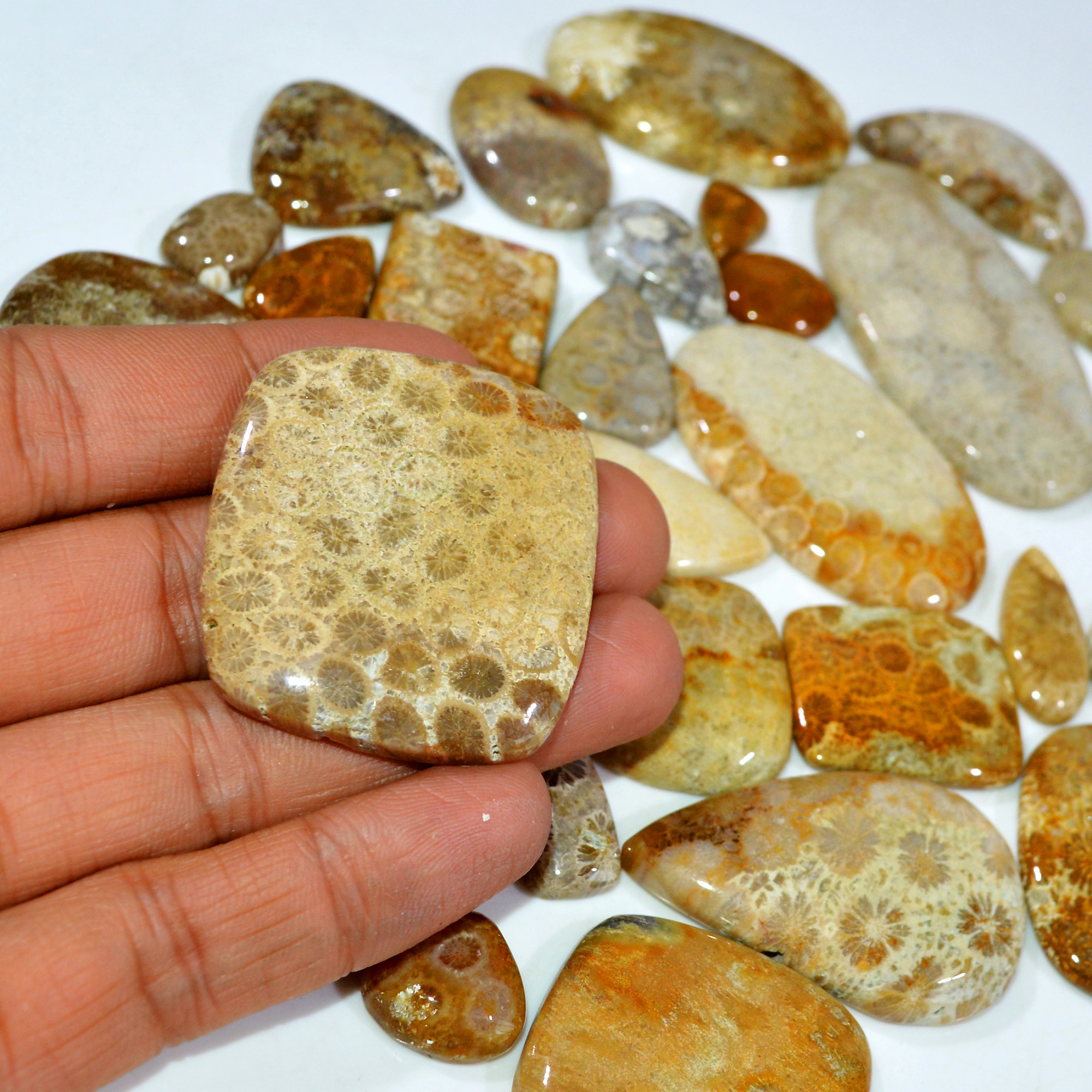 31Pcs 1171Ct Natural Fossil Coral Loose Cabochon Gemstone Lot Mixed Shapes For Pendants Handmade Jewelry Supplies 60x25 13x14mm 3153