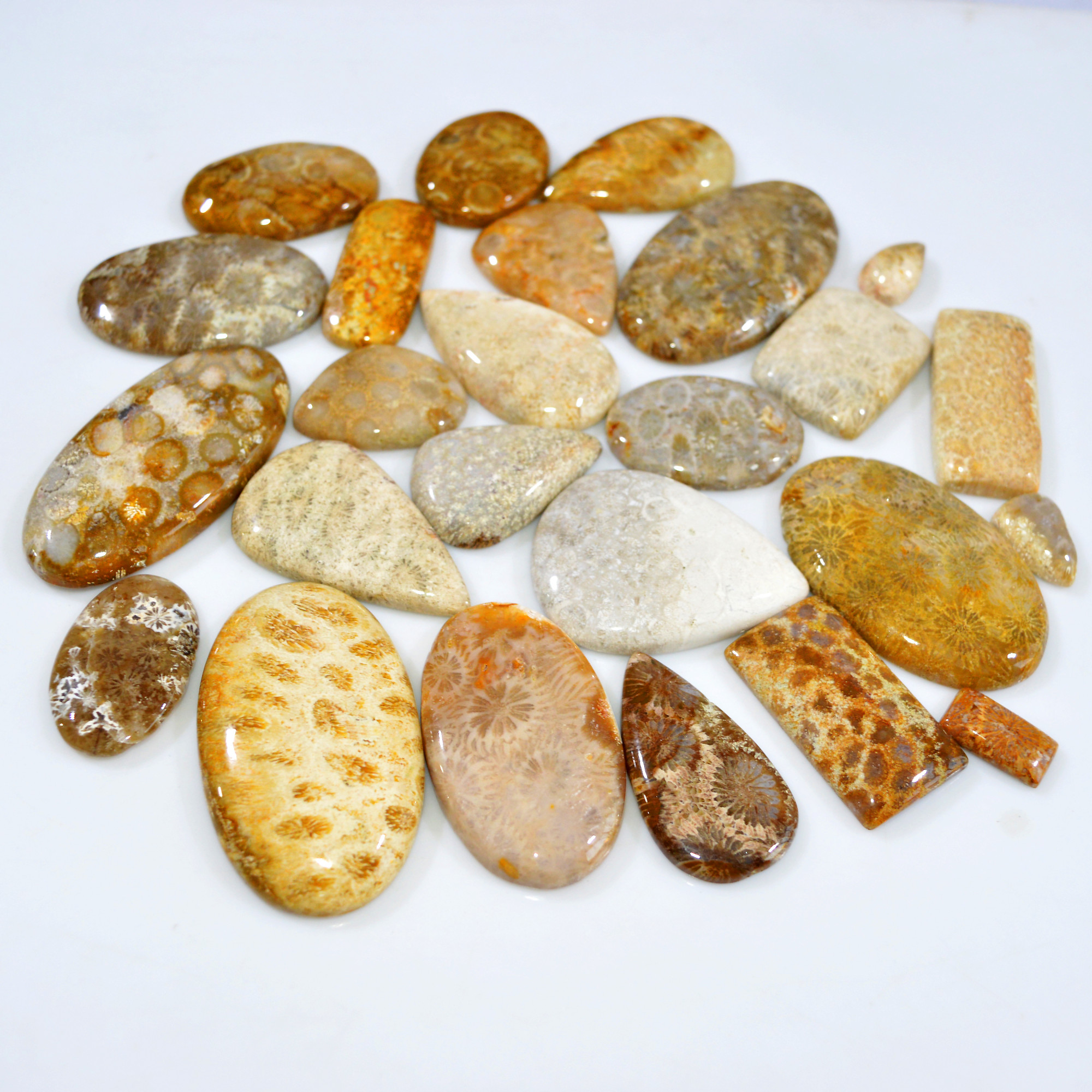 25Pcs 978Ct Natural Fossil Coral Loose Cabochon Gemstone Lot Mixed Shapes For Pendants Handmade Jewelry Supplies 50x25 15x9mm 3154