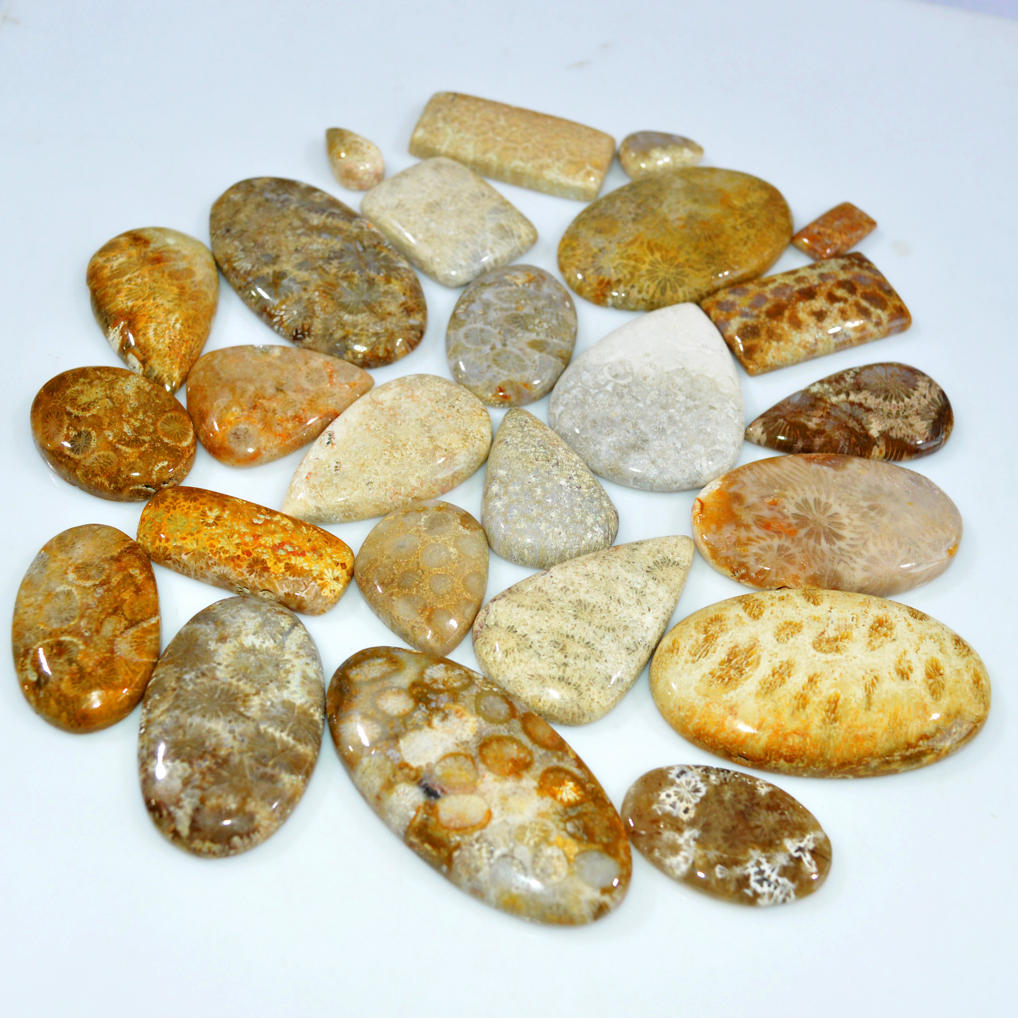 25Pcs 978Ct Natural Fossil Coral Loose Cabochon Gemstone Lot Mixed Shapes For Pendants Handmade Jewelry Supplies 50x25 15x9mm 3154
