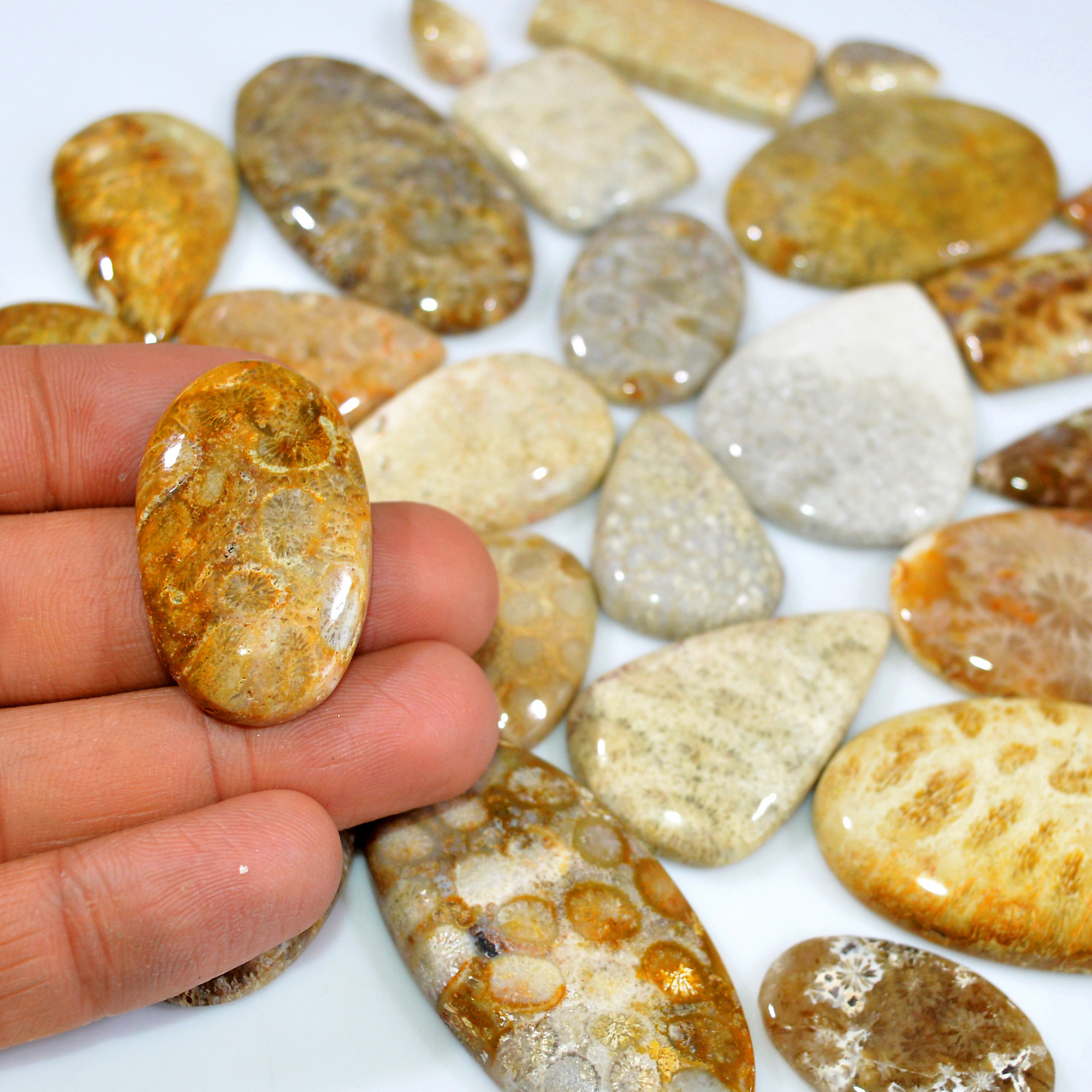 25Pcs 978Ct Natural Fossil Coral Loose Cabochon Gemstone Lot Mixed Shapes For Pendants Handmade Jewelry Supplies 50x25 15x9mm 3154
