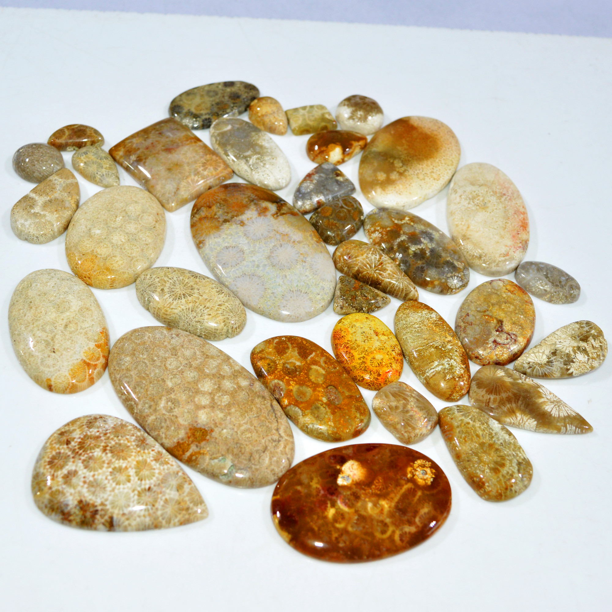 34Pcs 1167Ct Natural Fossil Coral Loose Cabochon Gemstone Lot Mixed Shapes For Pendants Handmade Jewelry Supplies 60x30 15x14mm 3155