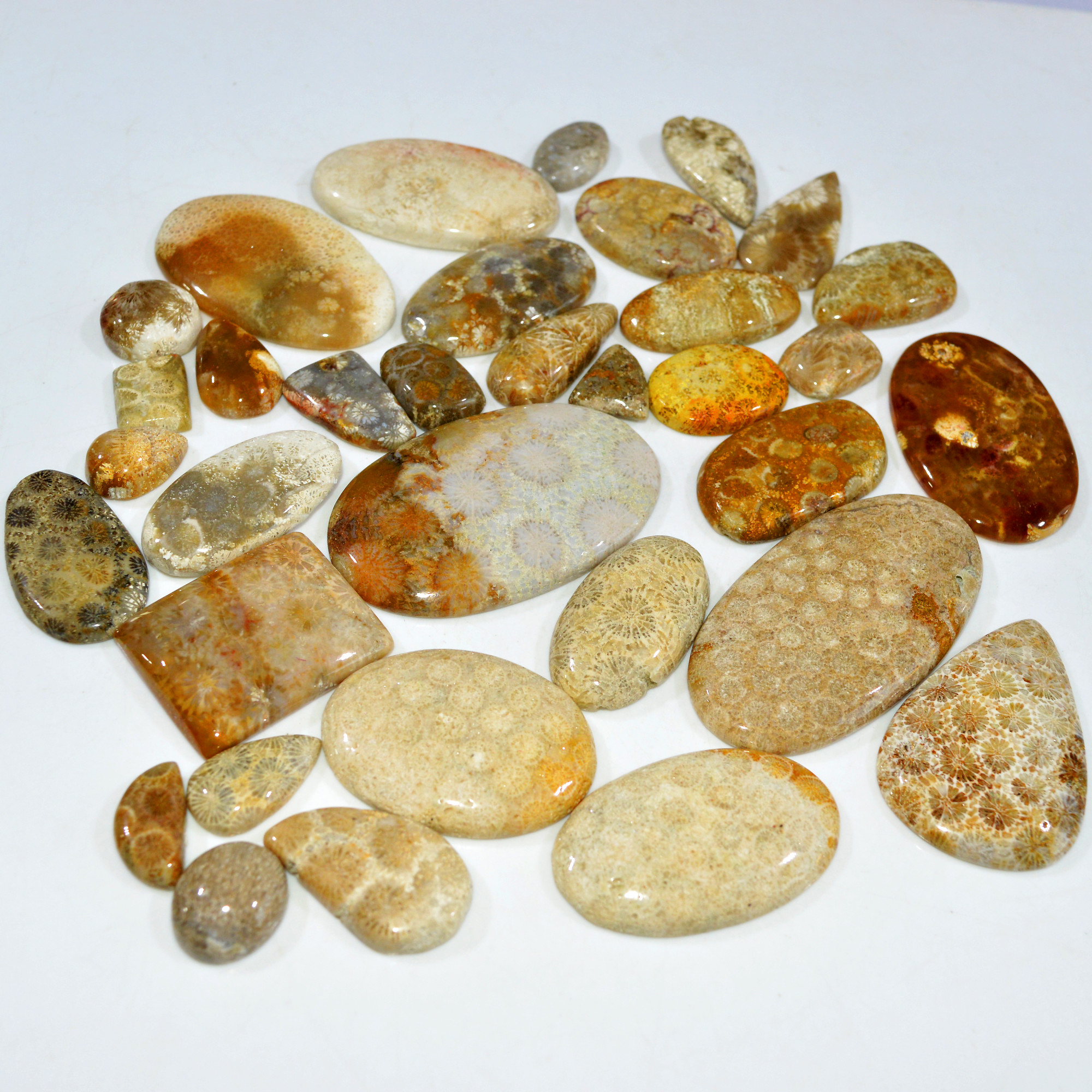 34Pcs 1167Ct Natural Fossil Coral Loose Cabochon Gemstone Lot Mixed Shapes For Pendants Handmade Jewelry Supplies 60x30 15x14mm 3155