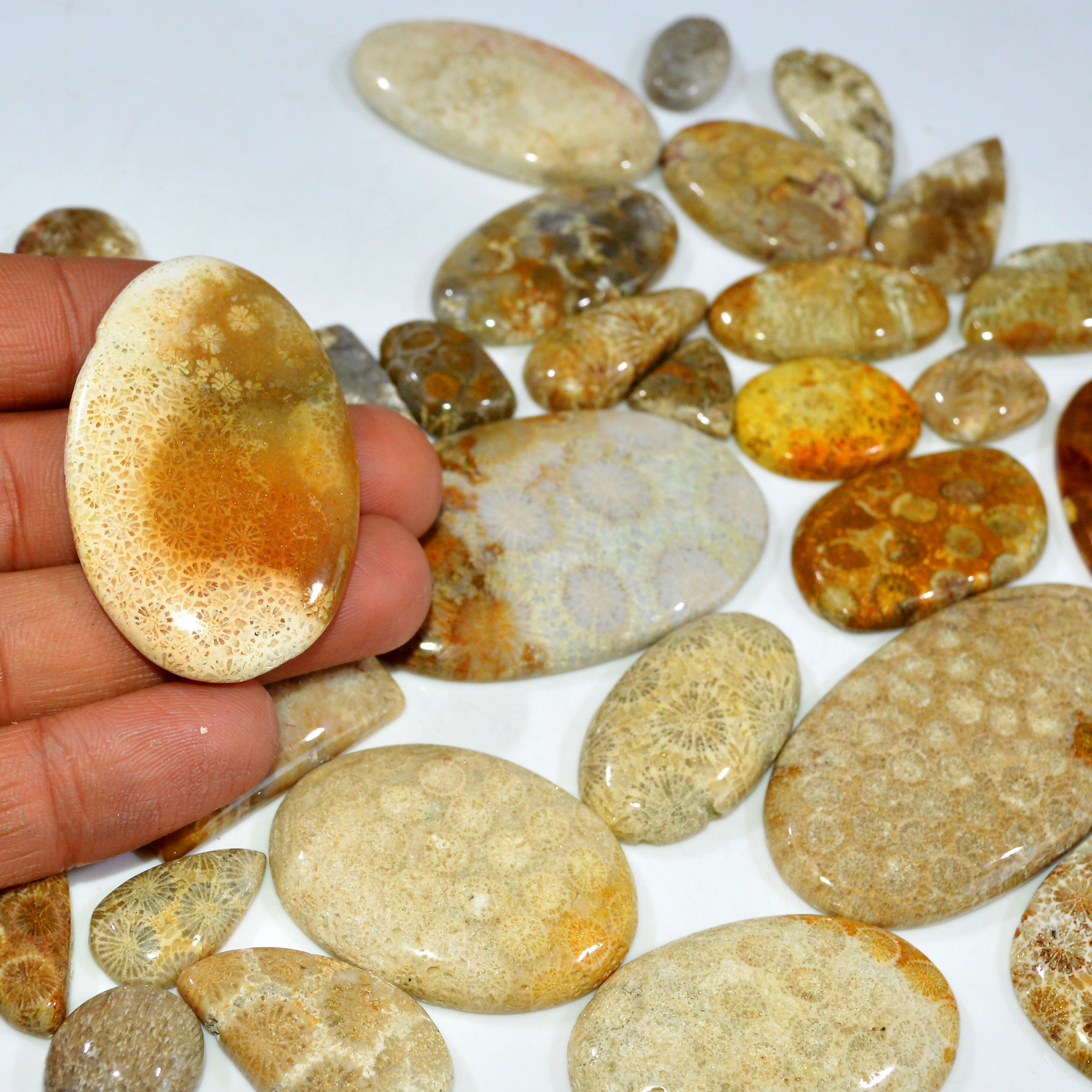 34Pcs 1167Ct Natural Fossil Coral Loose Cabochon Gemstone Lot Mixed Shapes For Pendants Handmade Jewelry Supplies 60x30 15x14mm 3155