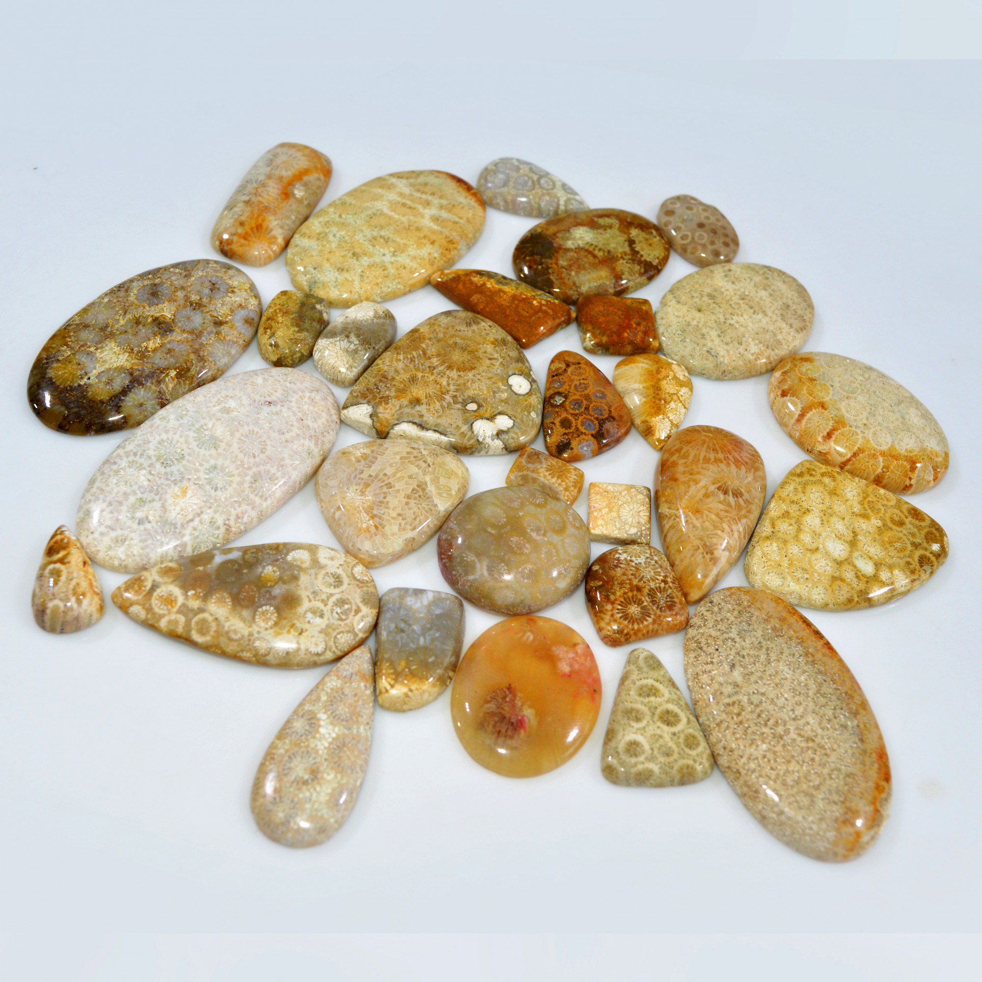 29Pcs 1124Ct Natural Fossil Coral Loose Cabochon Gemstone Lot Mixed Shapes For Pendants Handmade Jewelry Supplies 55x27 12x9mm 3156