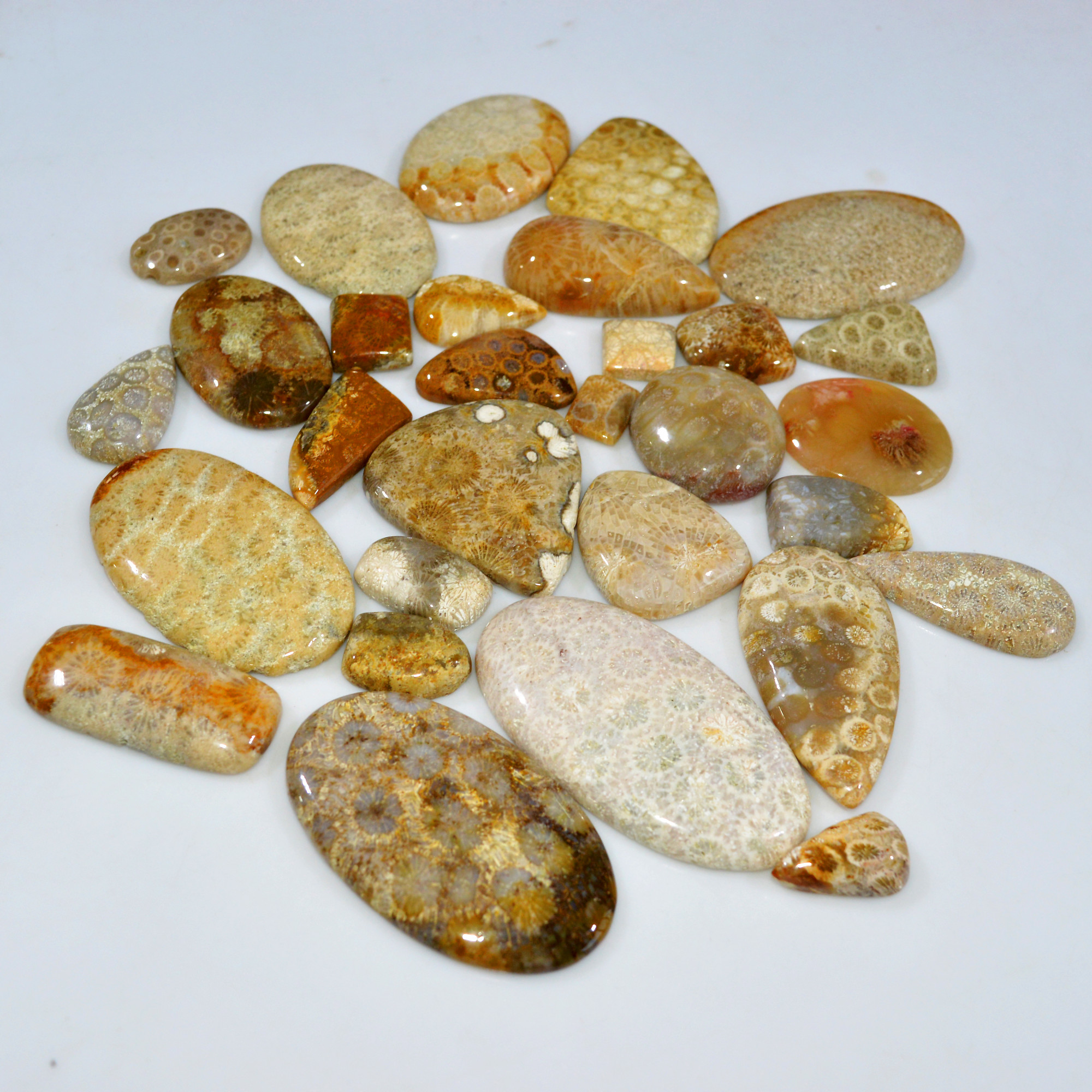 29Pcs 1124Ct Natural Fossil Coral Loose Cabochon Gemstone Lot Mixed Shapes For Pendants Handmade Jewelry Supplies 55x27 12x9mm 3156