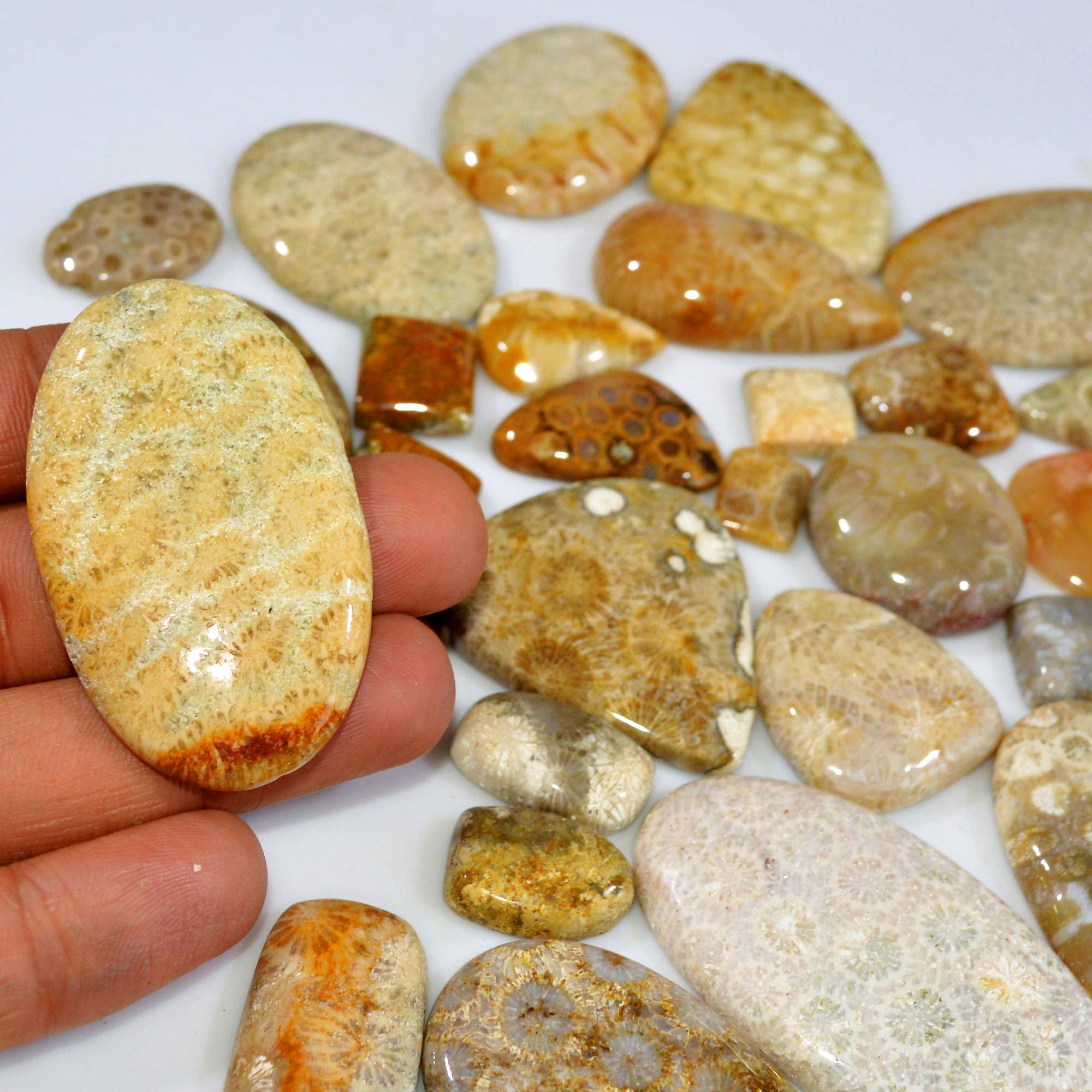 29Pcs 1124Ct Natural Fossil Coral Loose Cabochon Gemstone Lot Mixed Shapes For Pendants Handmade Jewelry Supplies 55x27 12x9mm 3156