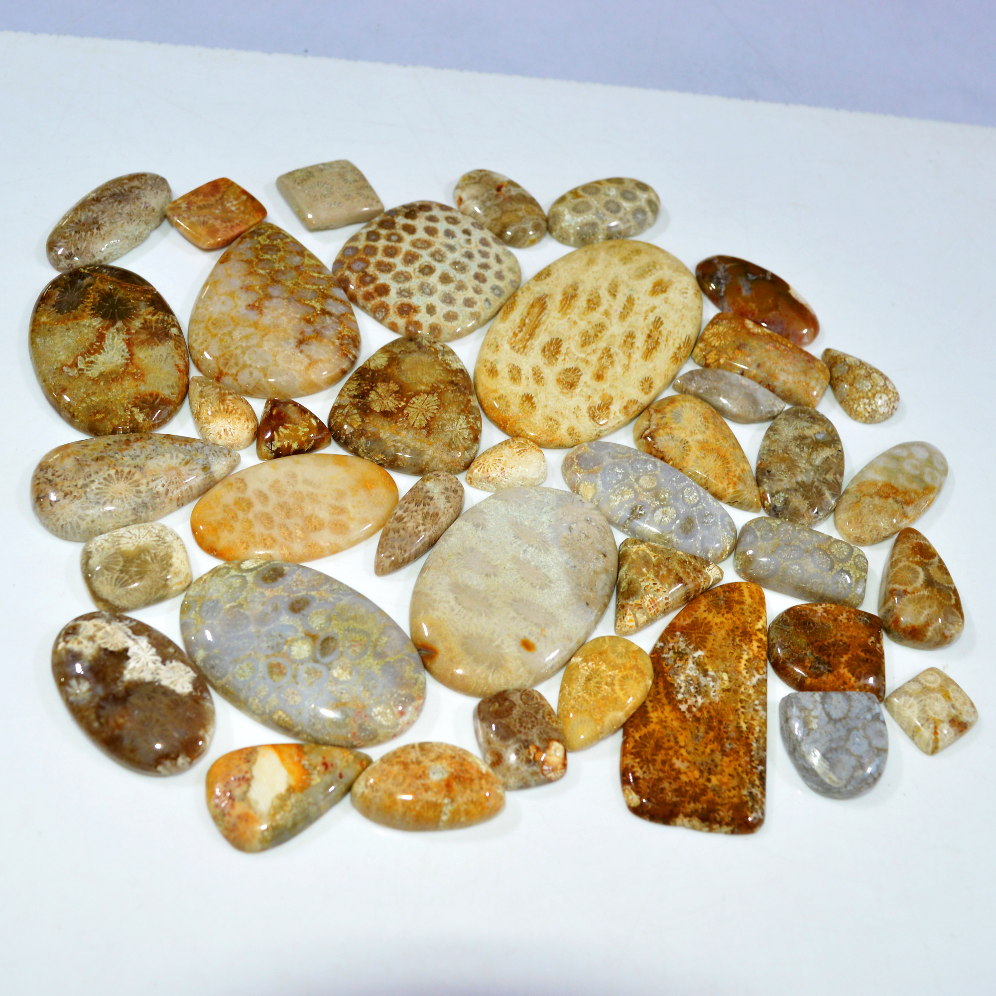 39Pcs 1237Ct Natural Fossil Coral Loose Cabochon Gemstone Lot Mixed Shapes For Pendants Handmade Jewelry Supplies 68x35 15x13mm 3157