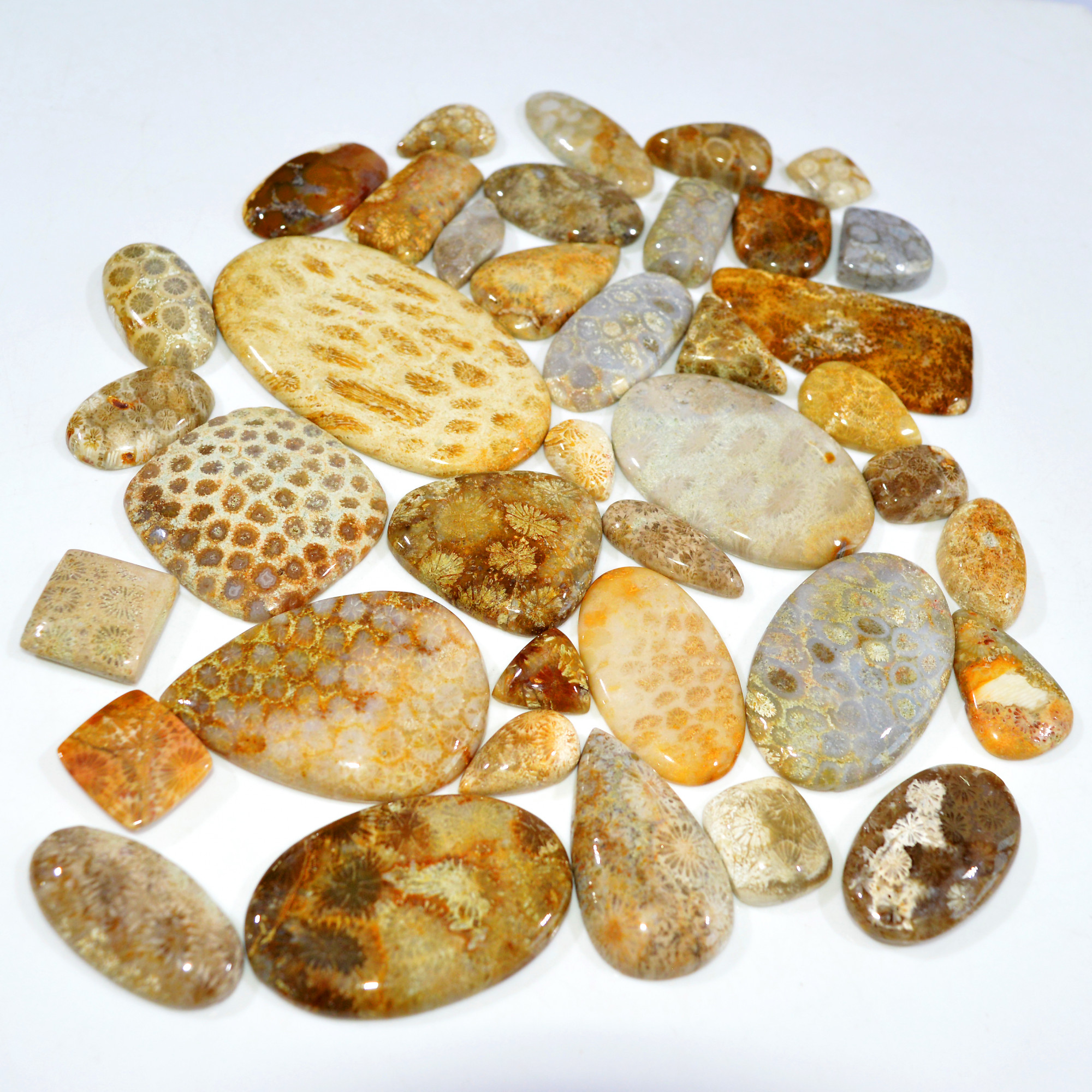 39Pcs 1237Ct Natural Fossil Coral Loose Cabochon Gemstone Lot Mixed Shapes For Pendants Handmade Jewelry Supplies 68x35 15x13mm 3157