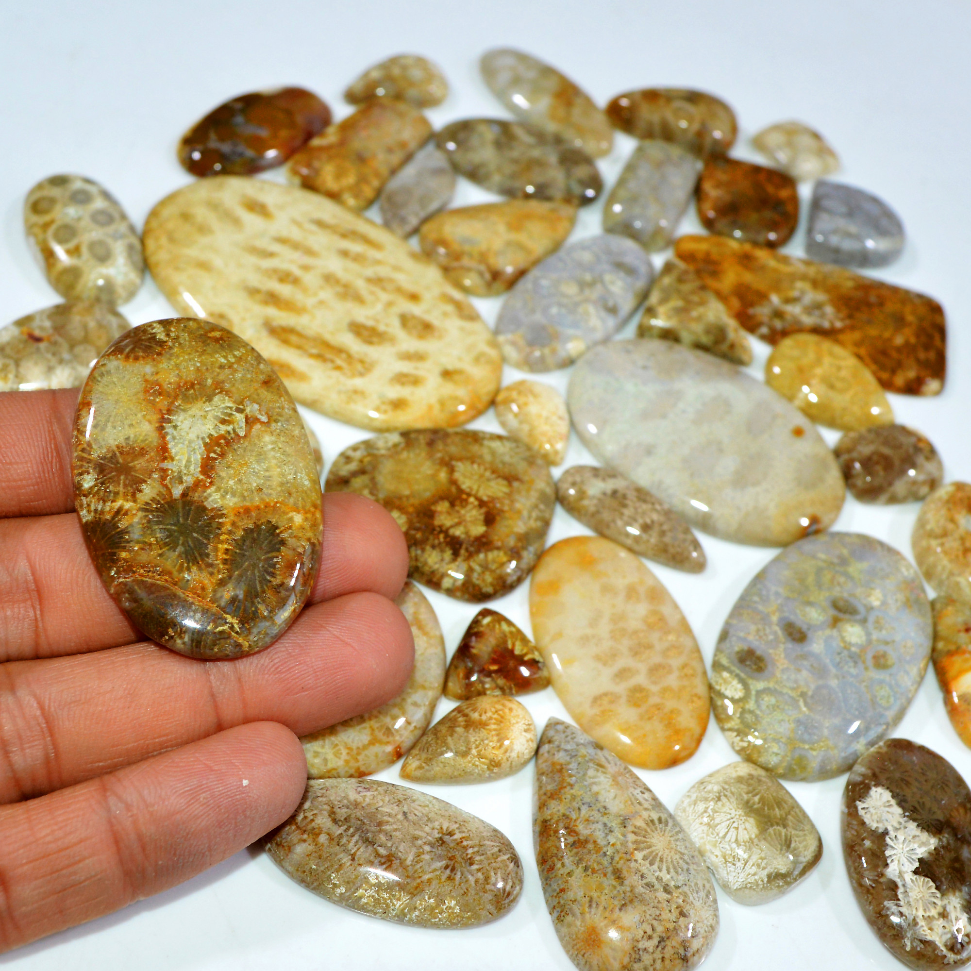 39Pcs 1237Ct Natural Fossil Coral Loose Cabochon Gemstone Lot Mixed Shapes For Pendants Handmade Jewelry Supplies 68x35 15x13mm 3157