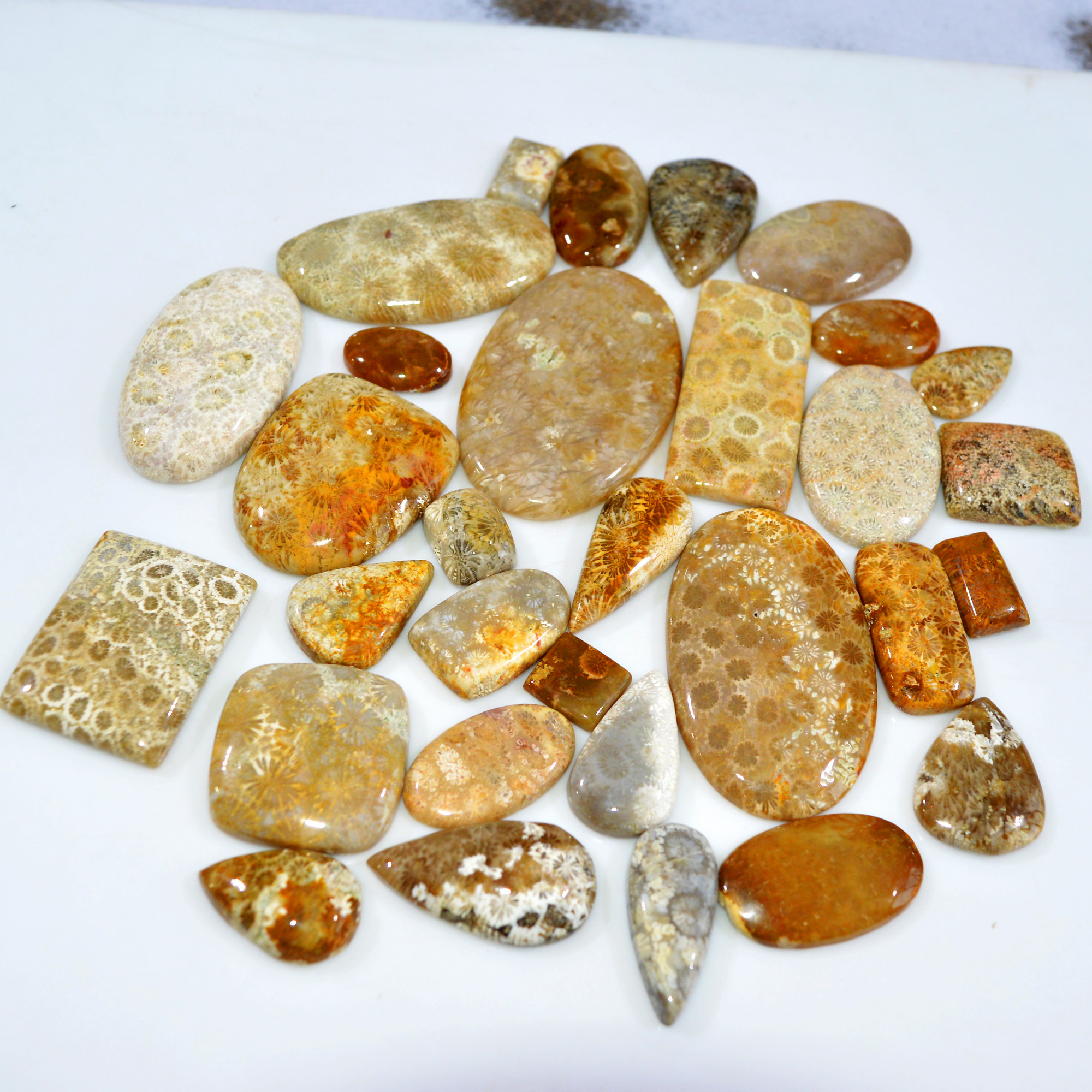 31Pcs 1065Ct Natural Fossil Coral Loose Cabochon Gemstone Lot Mixed Shapes For Pendants Handmade Jewelry Supplies 55x30 11x10mm 3158