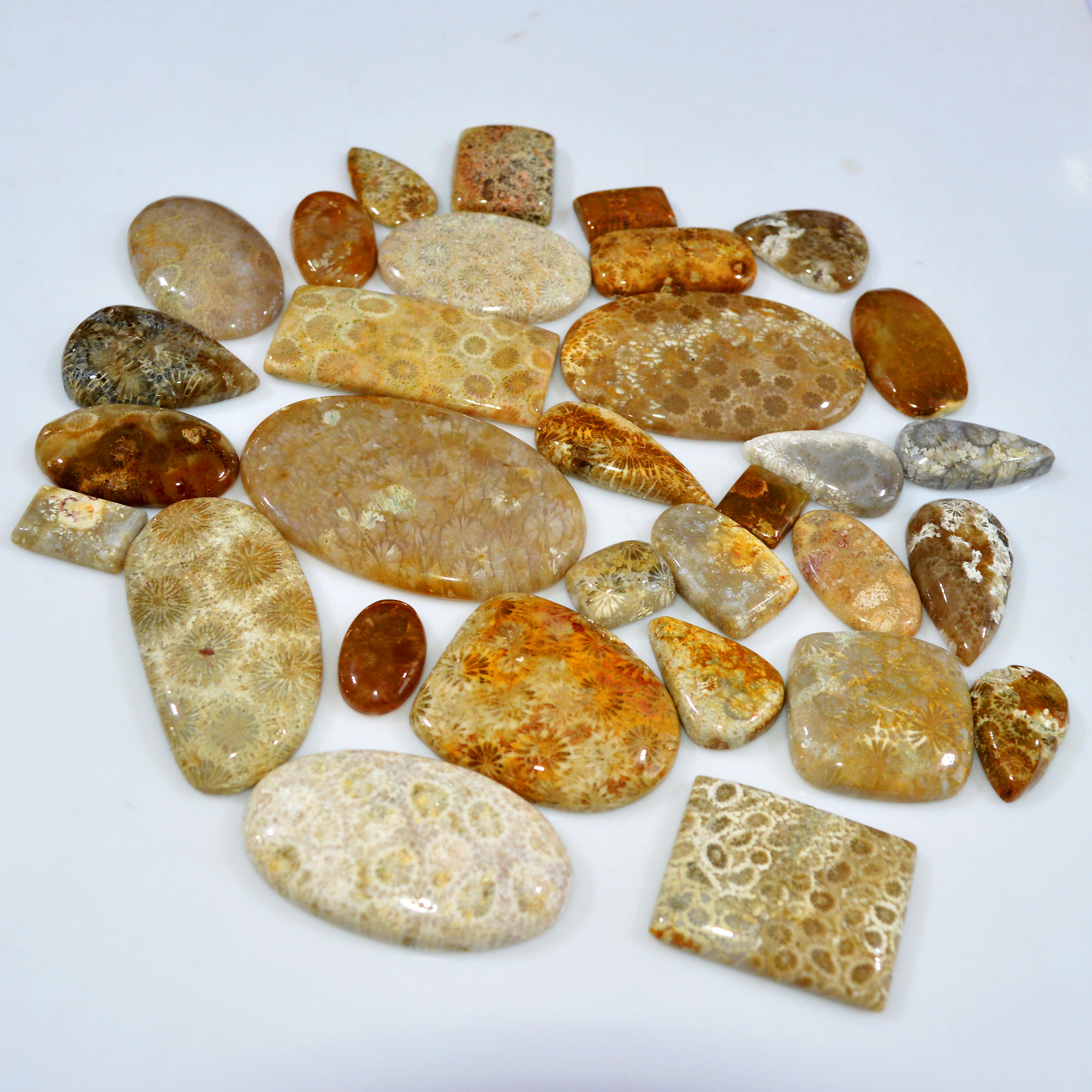31Pcs 1065Ct Natural Fossil Coral Loose Cabochon Gemstone Lot Mixed Shapes For Pendants Handmade Jewelry Supplies 55x30 11x10mm 3158