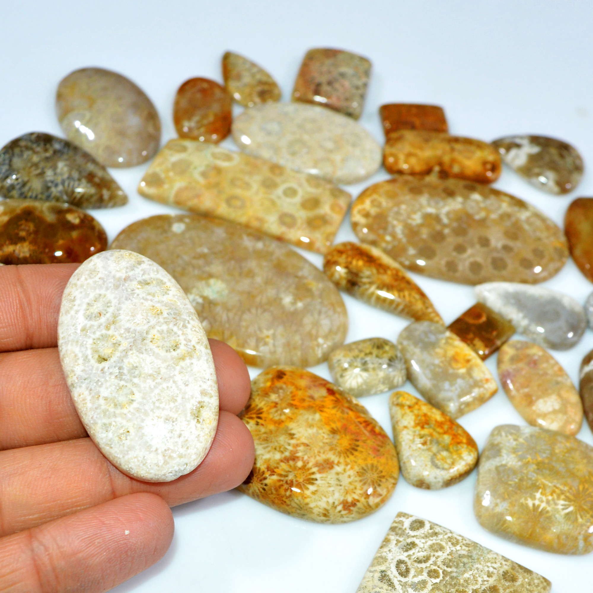 31Pcs 1065Ct Natural Fossil Coral Loose Cabochon Gemstone Lot Mixed Shapes For Pendants Handmade Jewelry Supplies 55x30 11x10mm 3158
