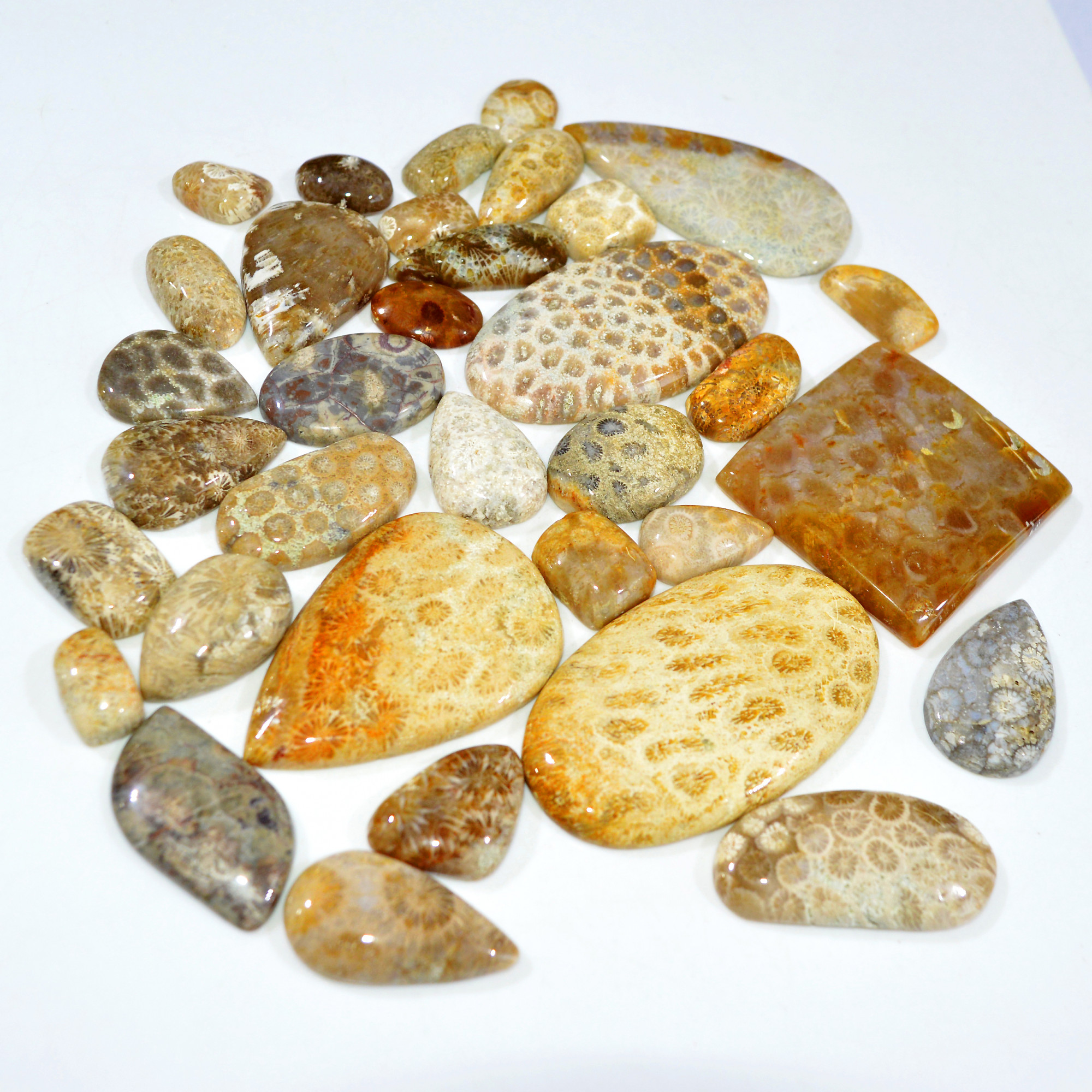 34Pcs 1106Ct Natural Fossil Coral Loose Cabochon Gemstone Lot Mixed Shapes For Pendants Handmade Jewelry Supplies 59x31 18x11mm 3159