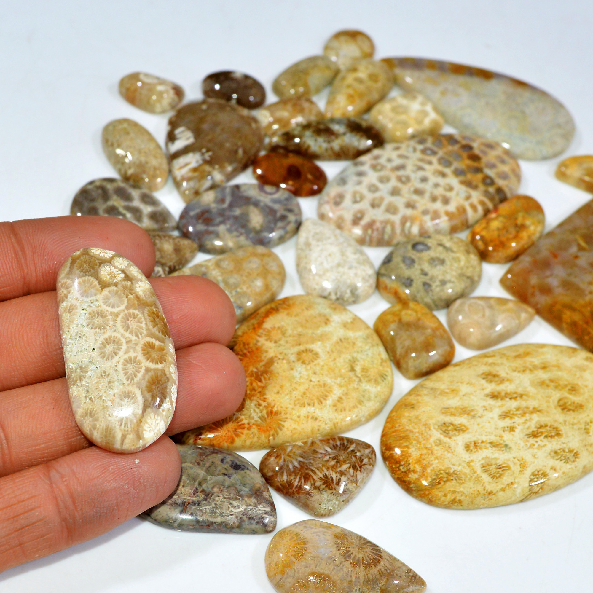 34Pcs 1106Ct Natural Fossil Coral Loose Cabochon Gemstone Lot Mixed Shapes For Pendants Handmade Jewelry Supplies 59x31 18x11mm 3159