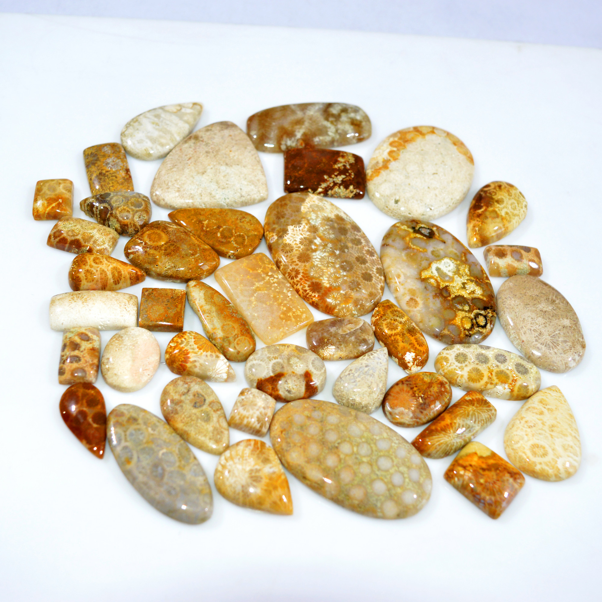 39Pcs 1173Ct Natural Fossil Coral Loose Cabochon Gemstone Lot Mixed Shapes For Pendants Handmade Jewelry Supplies 50x30 20x13mm 3160