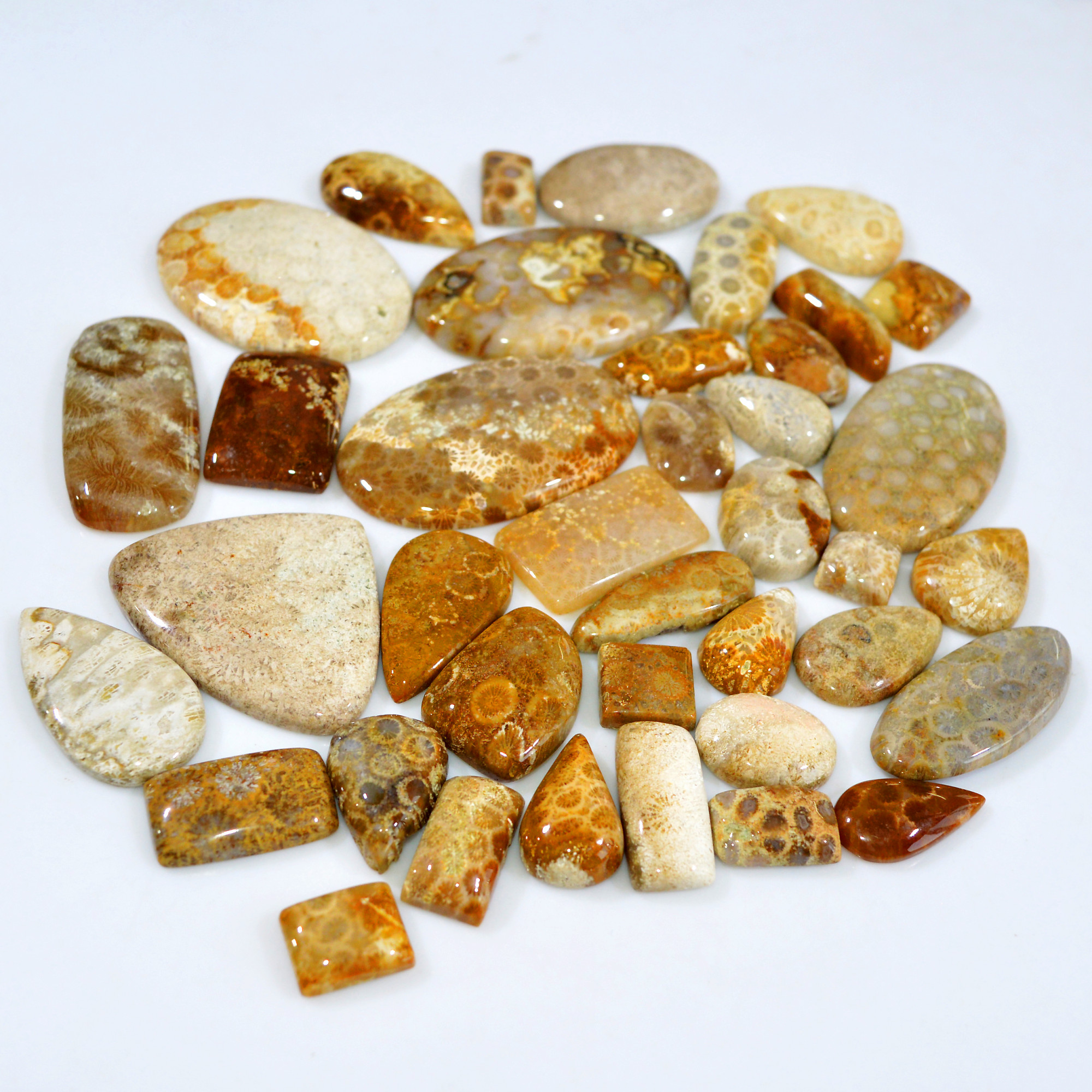 39Pcs 1173Ct Natural Fossil Coral Loose Cabochon Gemstone Lot Mixed Shapes For Pendants Handmade Jewelry Supplies 50x30 20x13mm 3160
