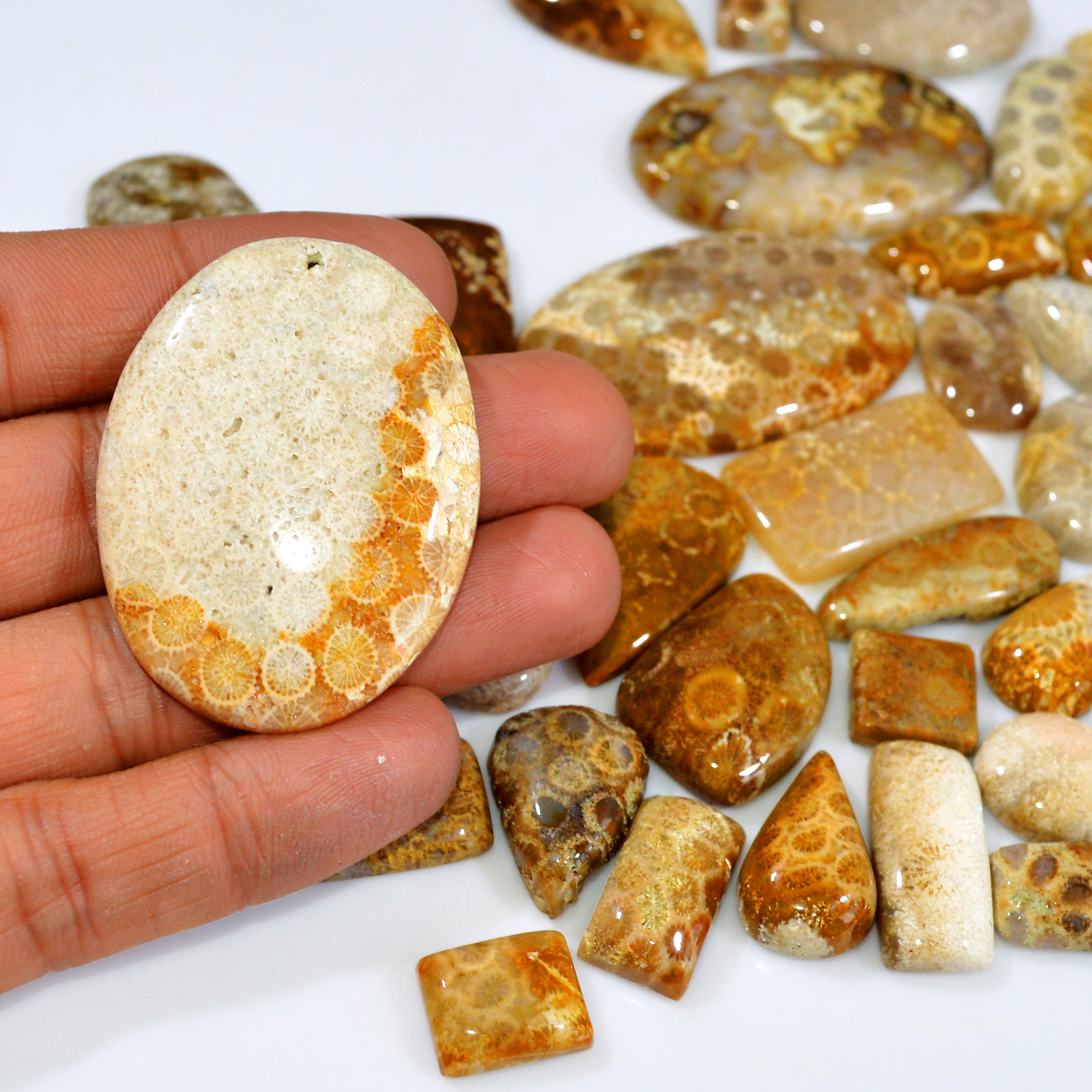 39Pcs 1173Ct Natural Fossil Coral Loose Cabochon Gemstone Lot Mixed Shapes For Pendants Handmade Jewelry Supplies 50x30 20x13mm 3160