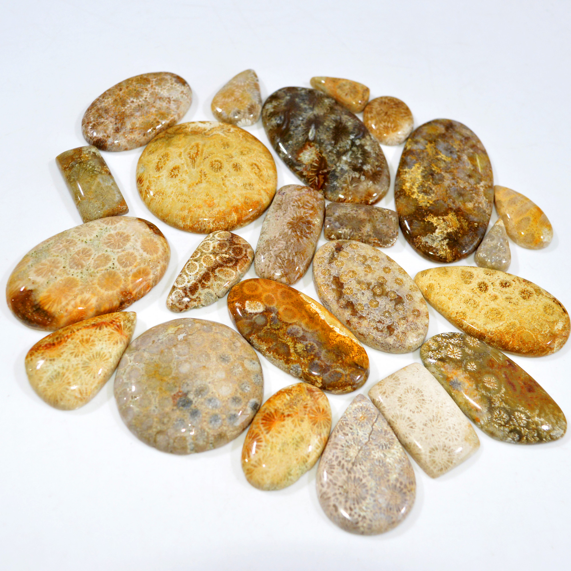 23Pcs 1122Ct Natural Fossil Coral Loose Cabochon Gemstone Lot Mixed Shapes For Pendants Handmade Jewelry Supplies 55x30 20x11mm 3161