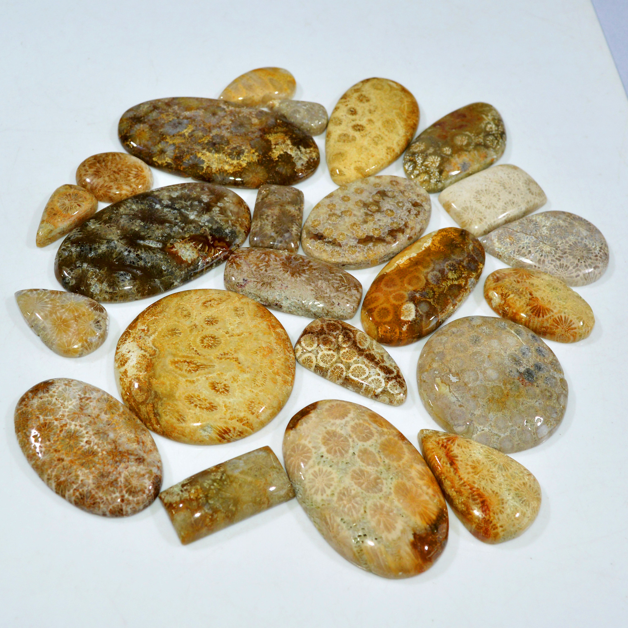 23Pcs 1122Ct Natural Fossil Coral Loose Cabochon Gemstone Lot Mixed Shapes For Pendants Handmade Jewelry Supplies 55x30 20x11mm 3161