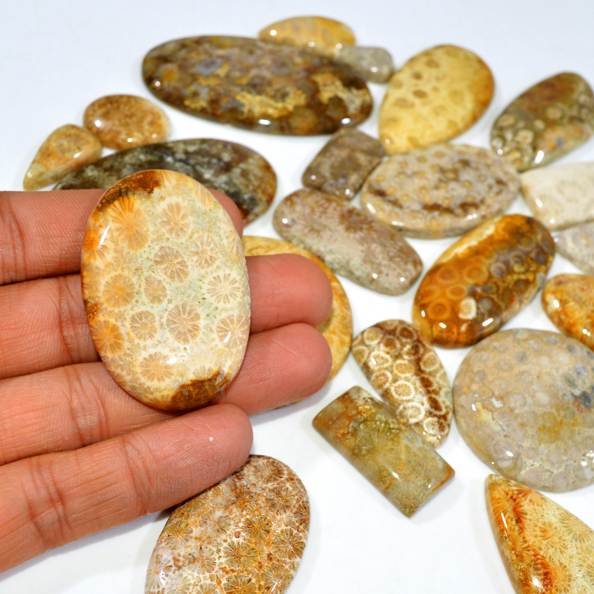 23Pcs 1122Ct Natural Fossil Coral Loose Cabochon Gemstone Lot Mixed Shapes For Pendants Handmade Jewelry Supplies 55x30 20x11mm 3161