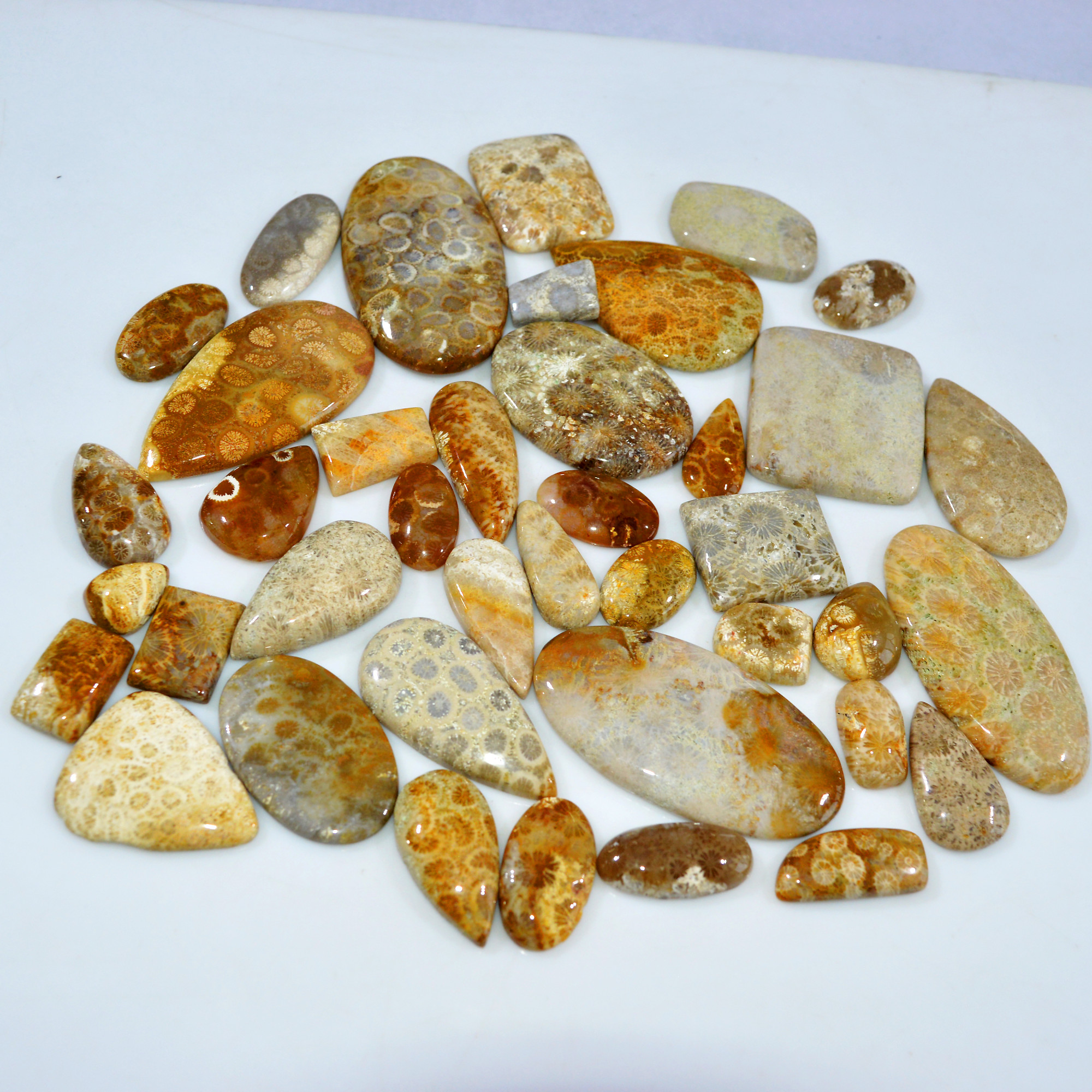 41Pcs 1163Ct Natural Fossil Coral Loose Cabochon Gemstone Lot Mixed Shapes For Pendants Handmade Jewelry Supplies 59x40 18x10mm 3162