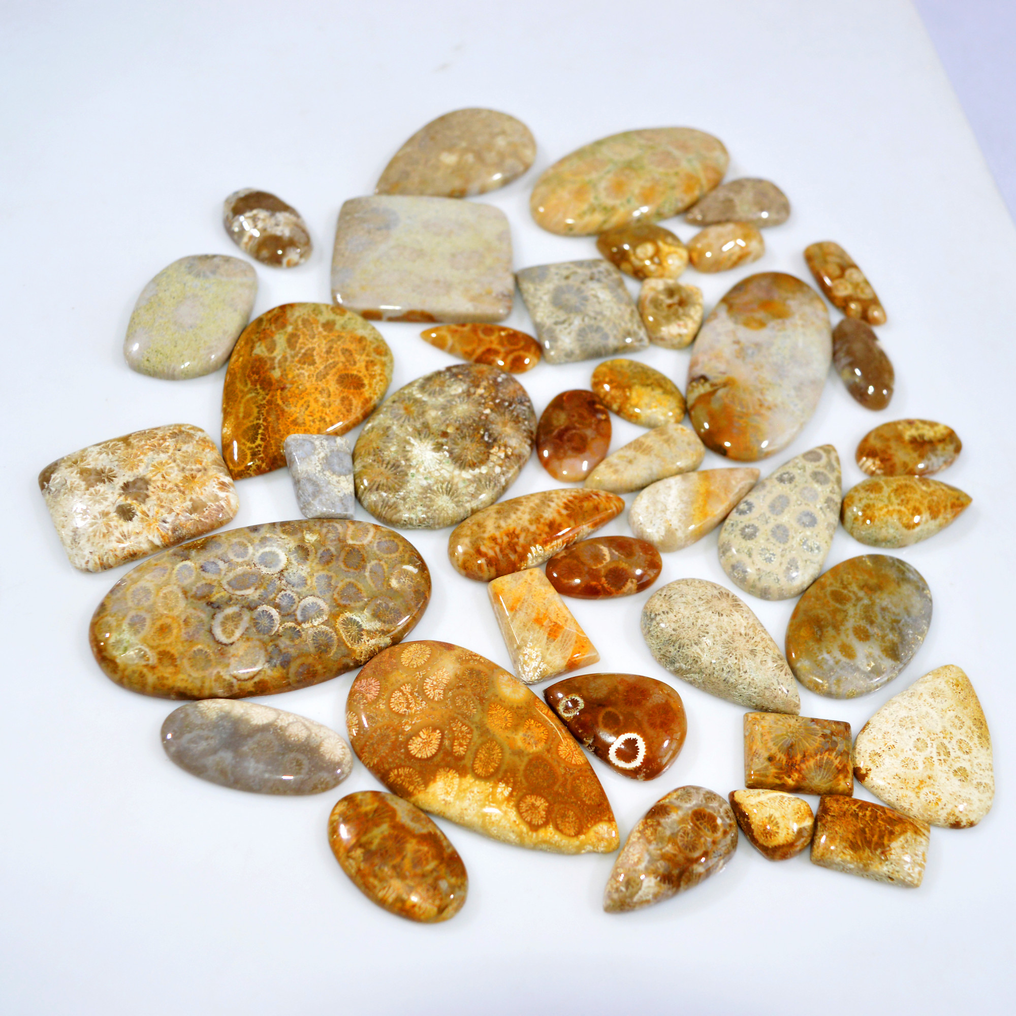 41Pcs 1163Ct Natural Fossil Coral Loose Cabochon Gemstone Lot Mixed Shapes For Pendants Handmade Jewelry Supplies 59x40 18x10mm 3162