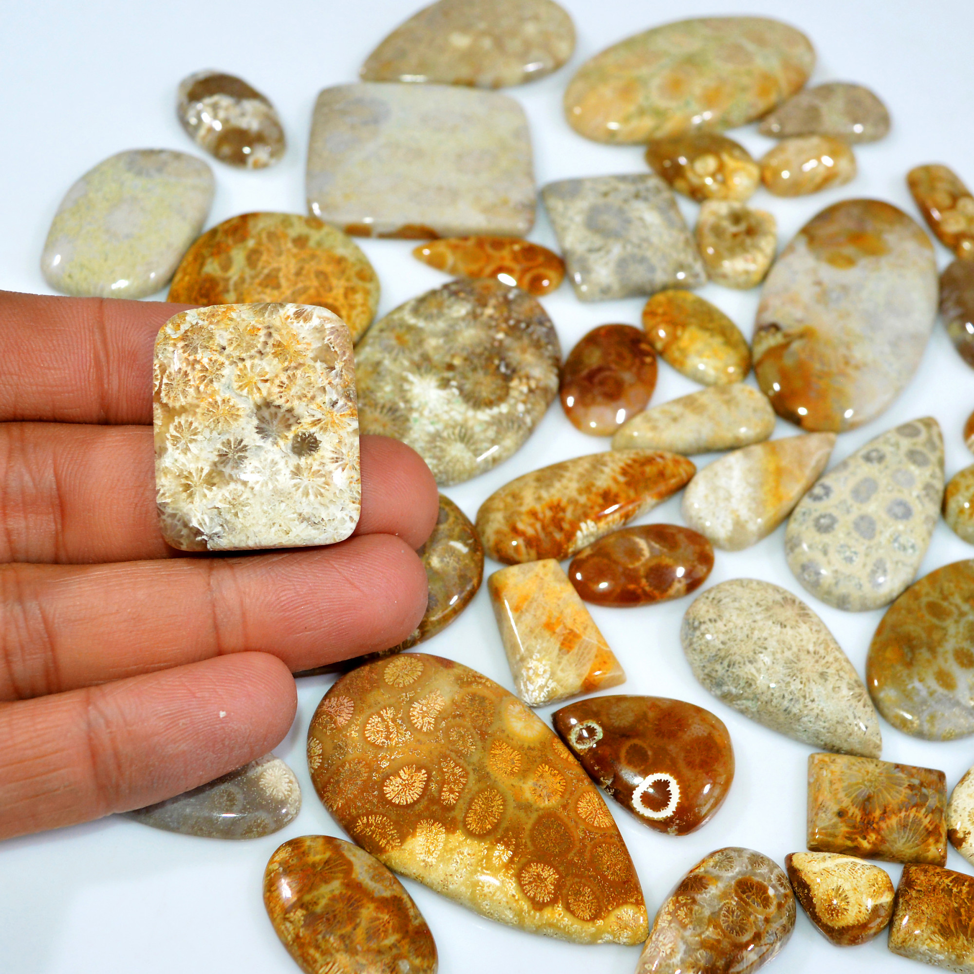 41Pcs 1163Ct Natural Fossil Coral Loose Cabochon Gemstone Lot Mixed Shapes For Pendants Handmade Jewelry Supplies 59x40 18x10mm 3162