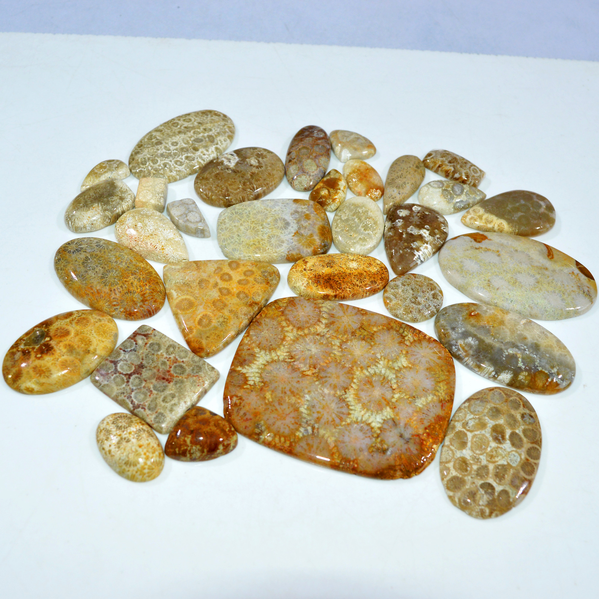 30Pcs 1117Ct Natural Fossil Coral Loose Cabochon Gemstone Lot Mixed Shapes For Pendants Handmade Jewelry Supplies 65x55 20x11mm 3163