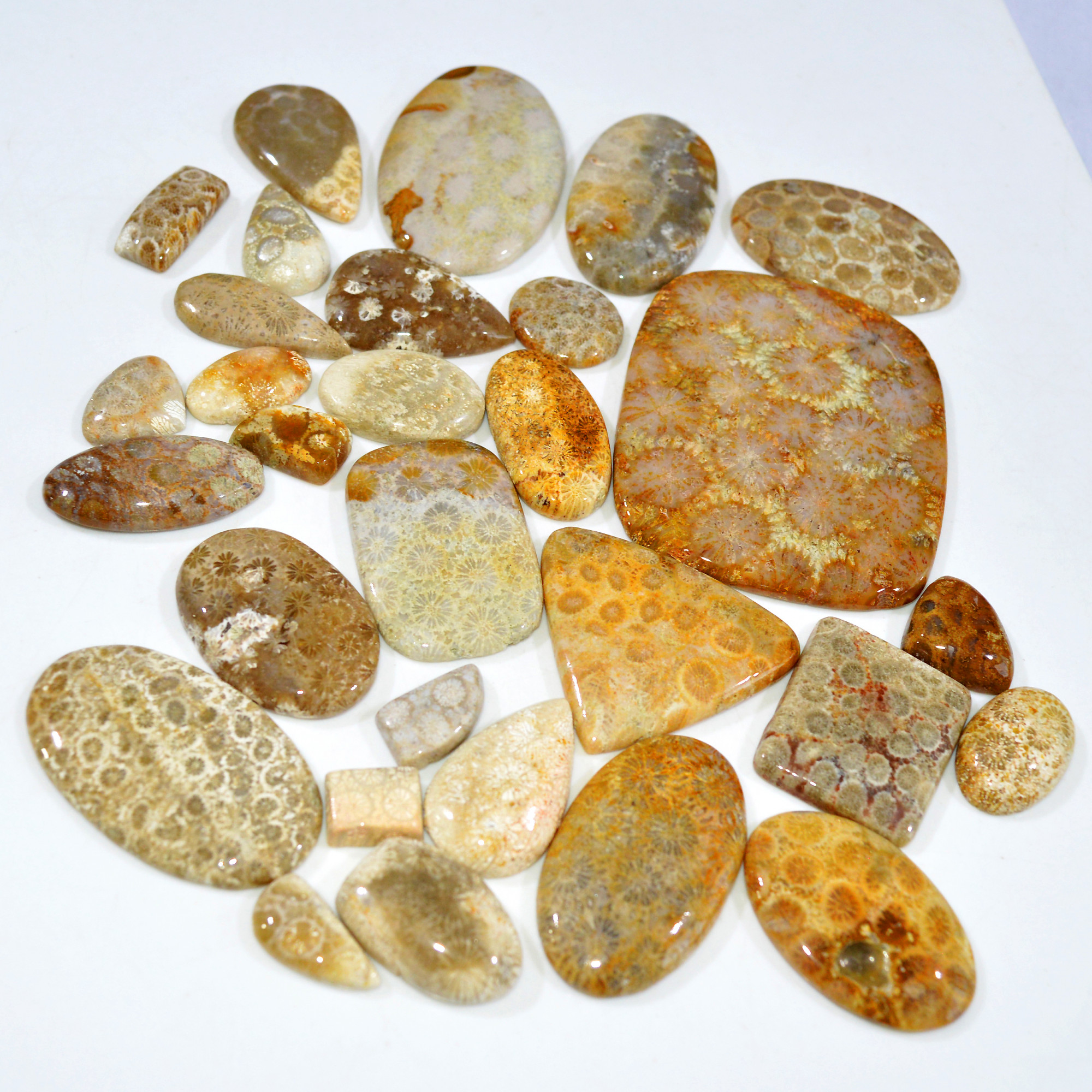 30Pcs 1117Ct Natural Fossil Coral Loose Cabochon Gemstone Lot Mixed Shapes For Pendants Handmade Jewelry Supplies 65x55 20x11mm 3163