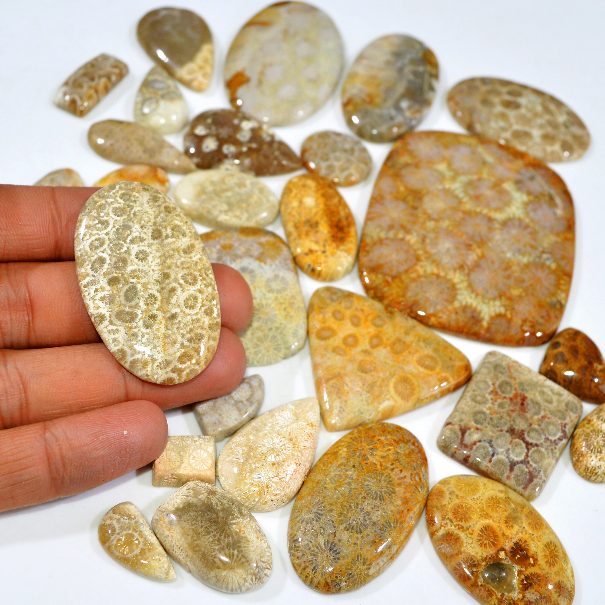 30Pcs 1117Ct Natural Fossil Coral Loose Cabochon Gemstone Lot Mixed Shapes For Pendants Handmade Jewelry Supplies 65x55 20x11mm 3163