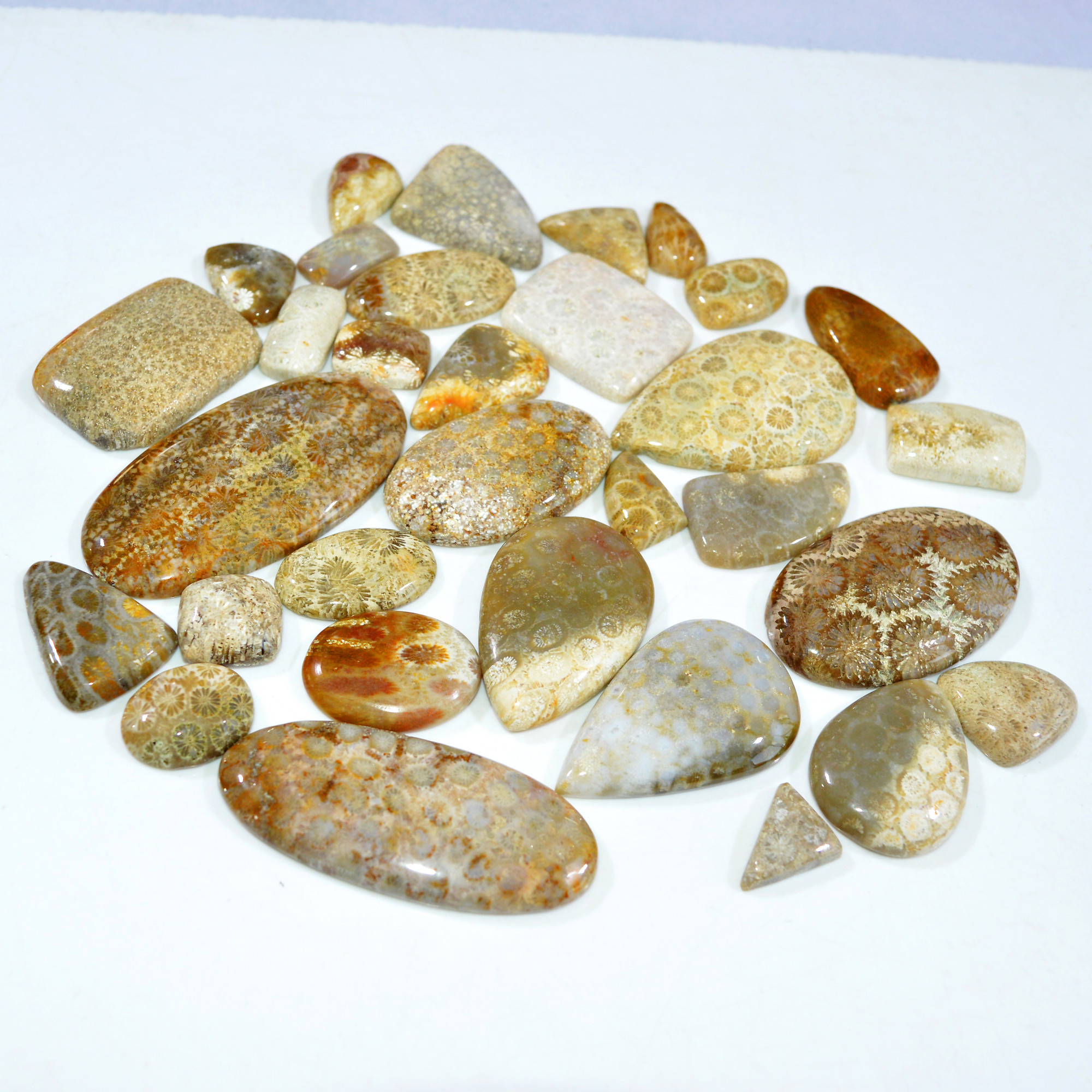 32Pcs 1135Ct Natural Fossil Coral Loose Cabochon Gemstone Lot Mixed Shapes For Pendants Handmade Jewelry Supplies 60x26 13x10mm 3165
